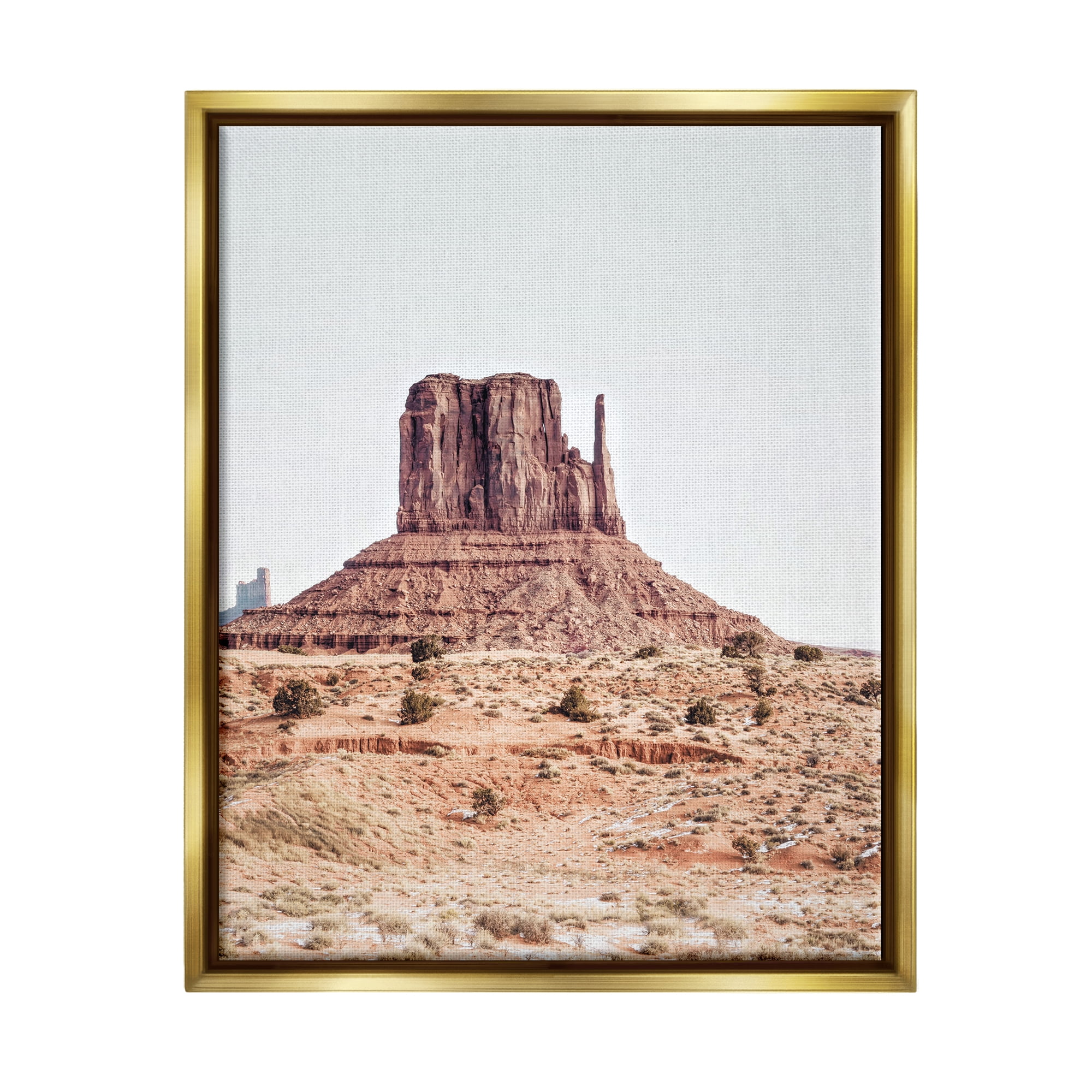 Stupell Industries Desert Mesa Photography Nature Photography Gold Floater Framed Art Print Wall Art, 17 x 21