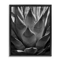 Stupell Industries Desert Plant Detail Botanical & Floral Photography Black Floater Framed Art Print Wall Art, 17 x 21