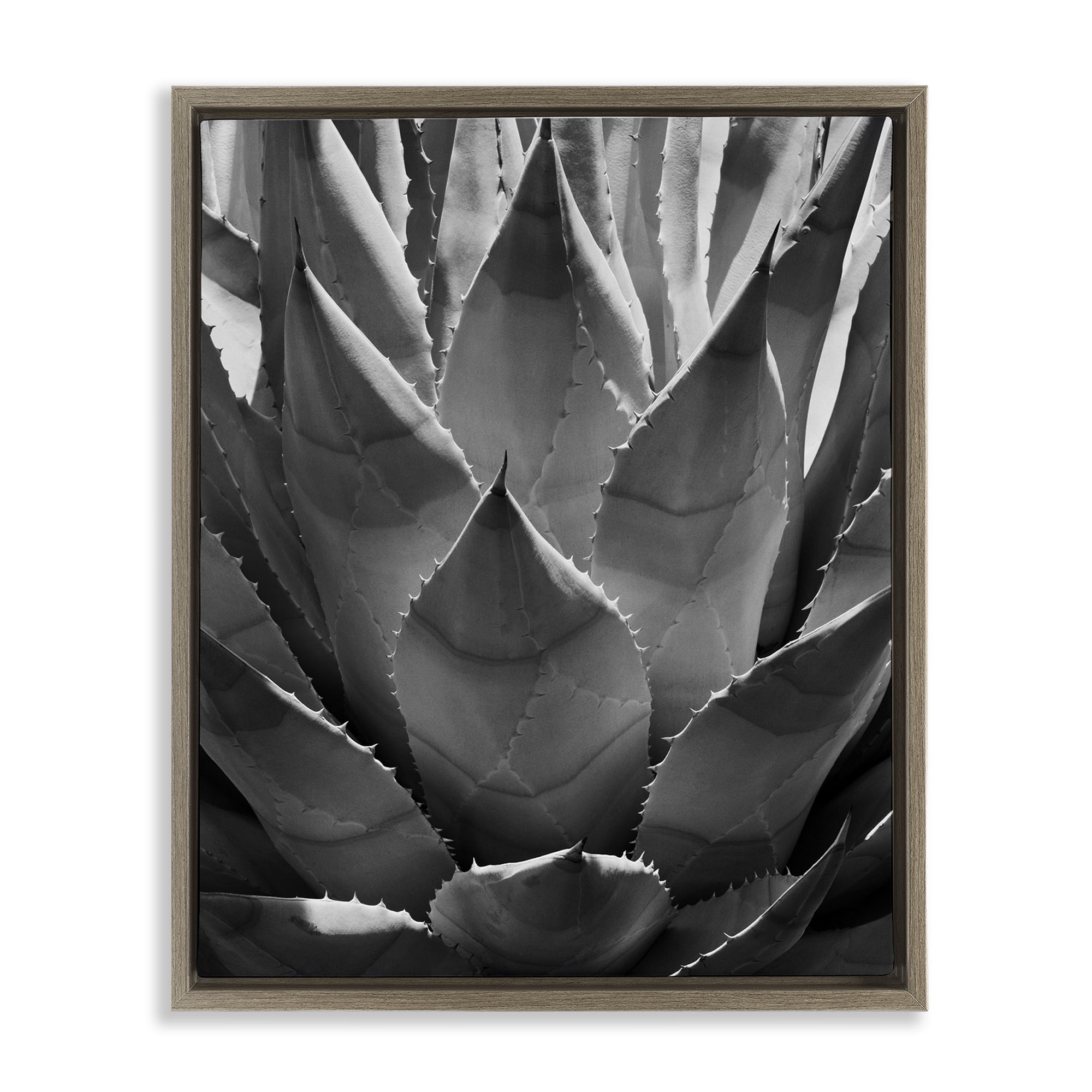 Stupell Industries Desert Plant Detail Botanical & Floral Photography Brown Floater Framed Art Print Wall Art, 25 x 31