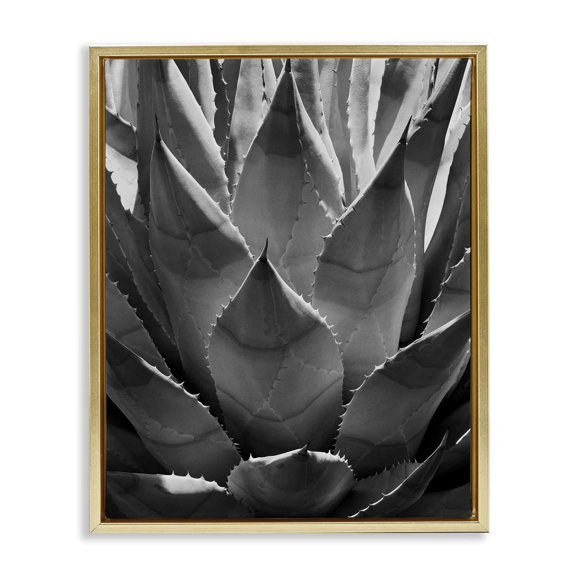 Stupell Industries Desert Plant Detail Botanical & Floral Photography Gold Floater Framed Art Print Wall Art, 25 x 31
