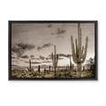 thumbnail image 1 of Stupell Industries Rustic Lodge Desert Sky Wilderness Black Floating Frame Canvas Art, 25 x 17, by Kim Allen, 1 of 8