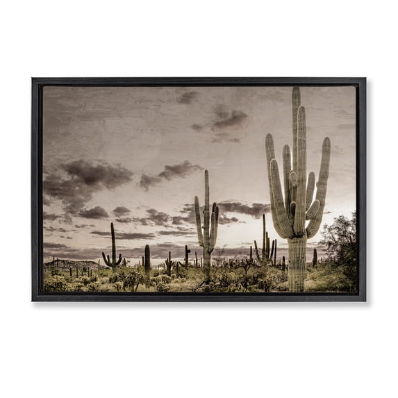 Stupell Industries Rustic Lodge Desert Sky Wilderness Black Floating Frame Canvas Art, 25 x 17, by Kim Allen