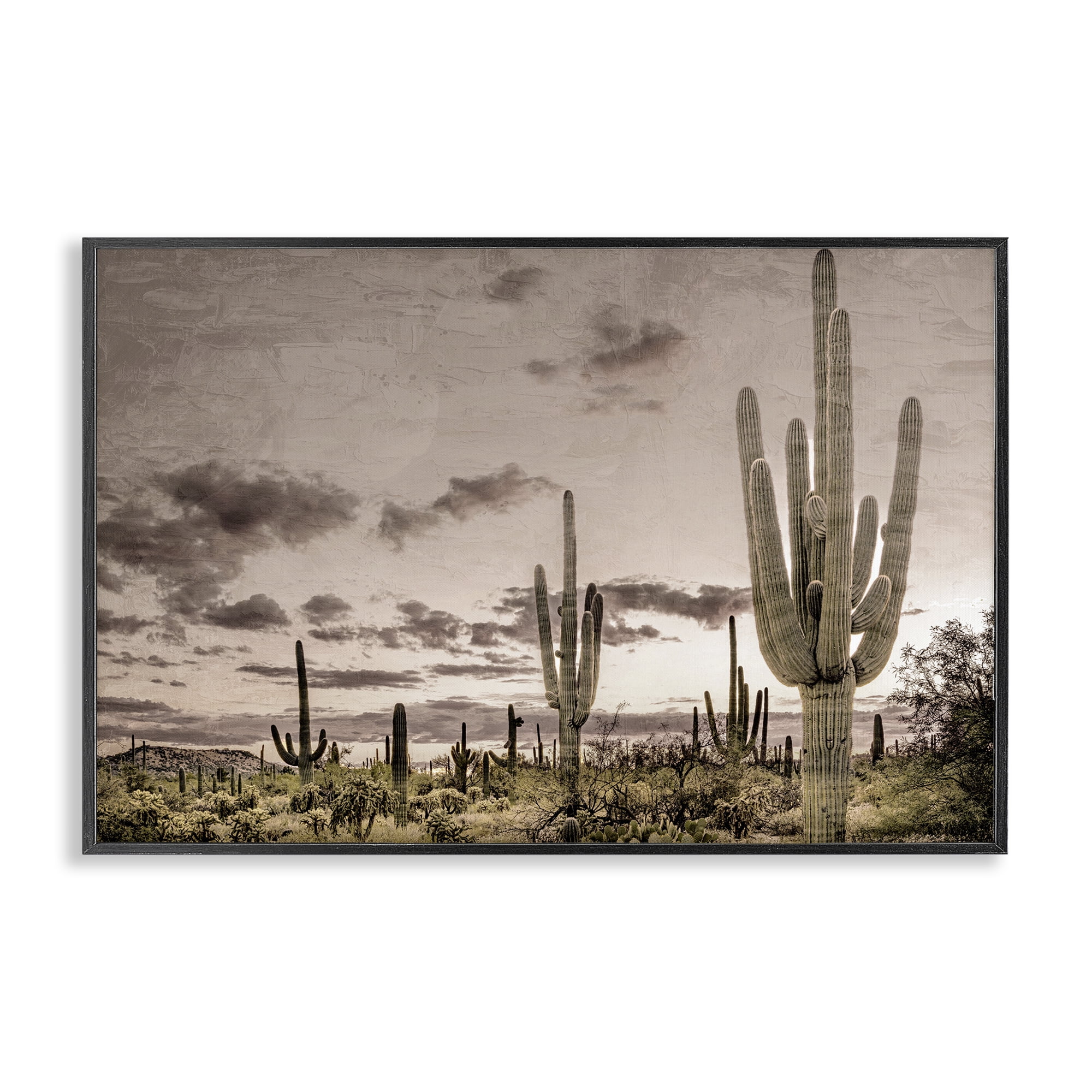 Stupell Industries Desert Sky Wilderness Black Framed Giclee Art, design by Kim Allen
