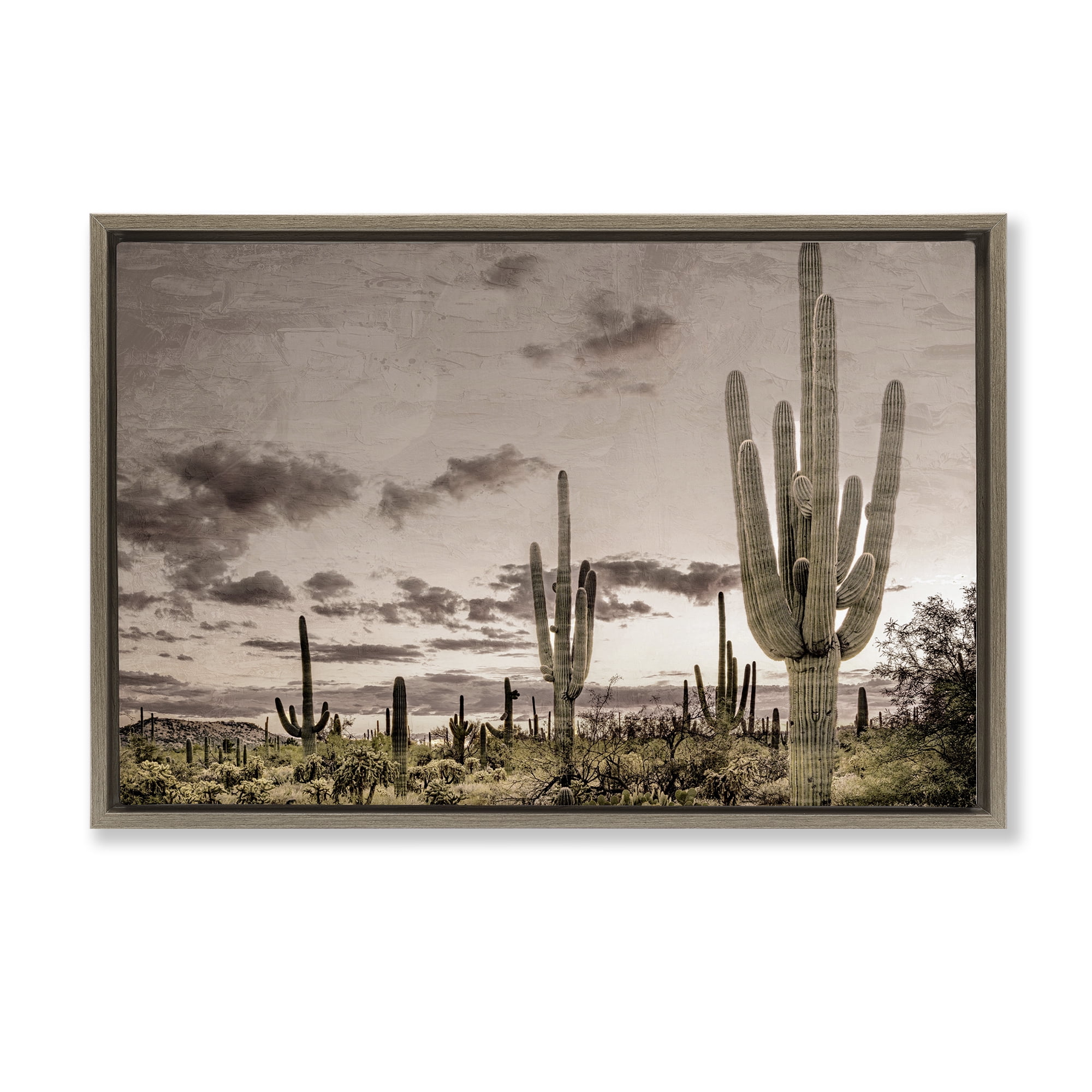 Stupell Industries Desert Sky Wilderness Brown Framed Floater Canvas Wall Art, design by Kim Allen