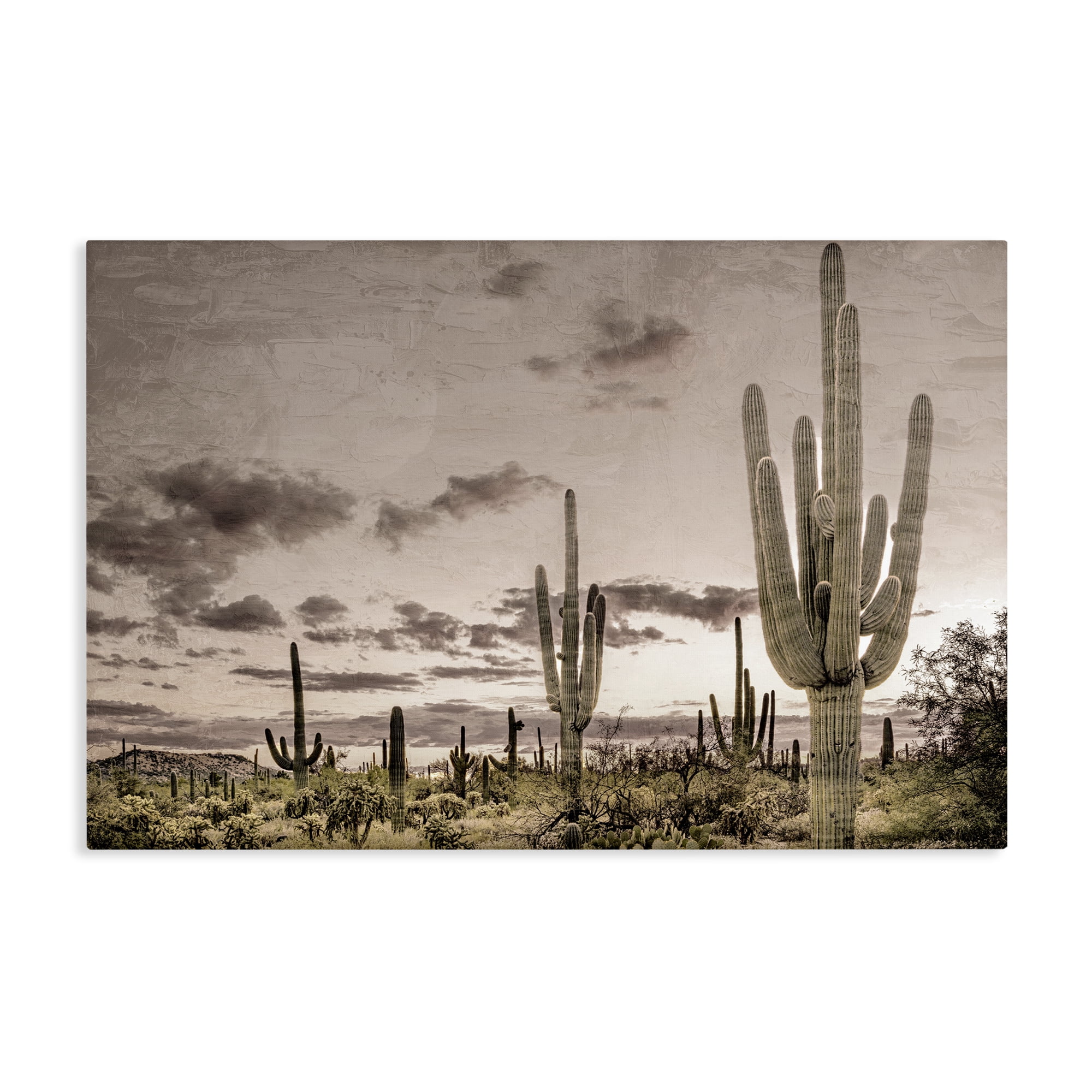Stupell Industries Desert Sky Wilderness Canvas Wall Art, design by Kim Allen