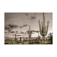 thumbnail image 1 of Stupell Industries Rustic Lodge Desert Sky Wilderness Canvas Art, 36 x 24, by Kim Allen, 1 of 8