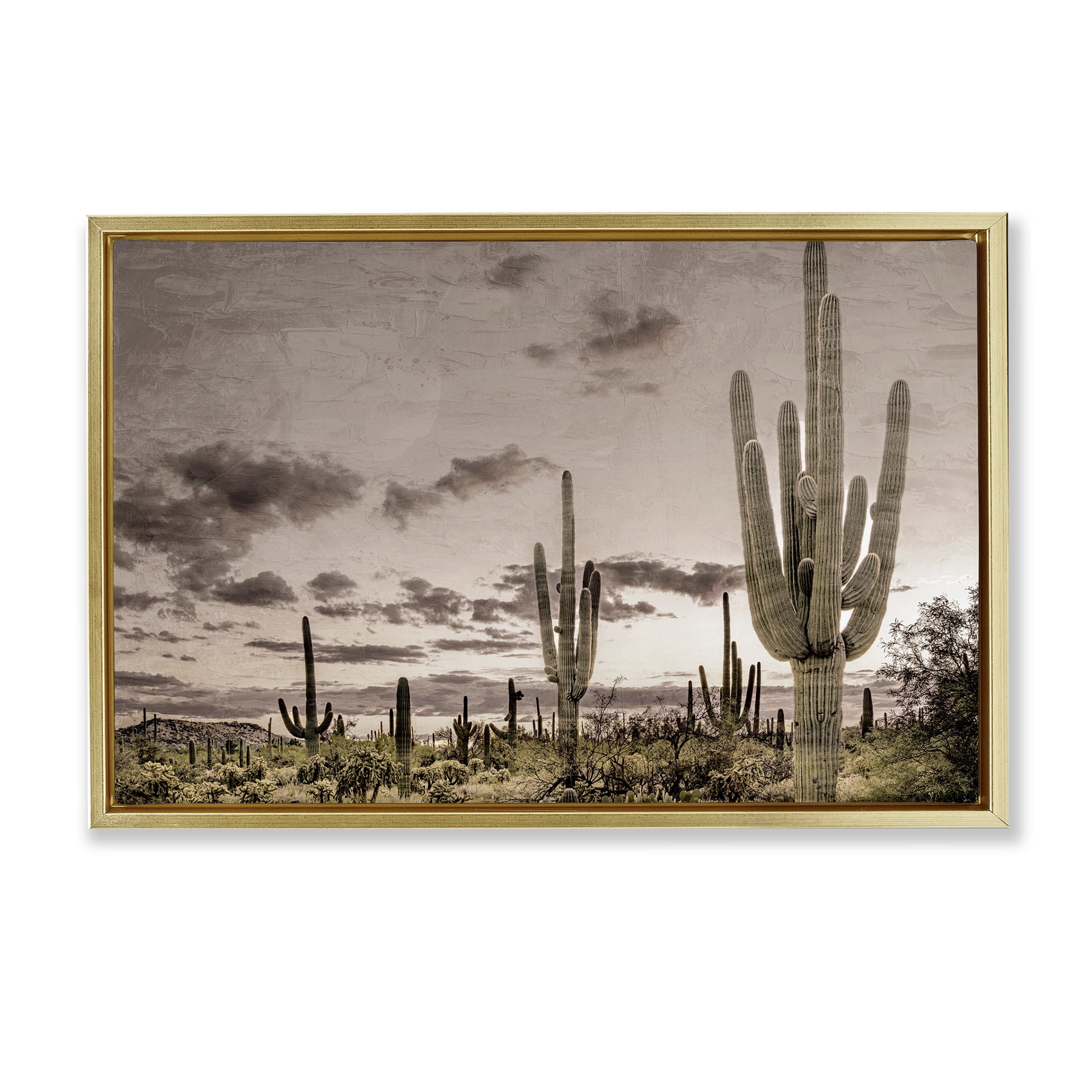 Stupell Industries Desert Sky Wilderness Gold Framed Floater Canvas Wall Art, design by Kim Allen