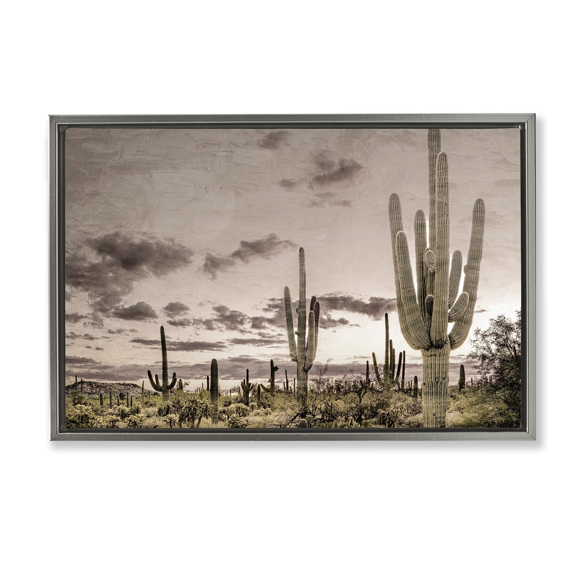 Stupell Industries Desert Sky Wilderness Gray Framed Floater Canvas Wall Art, design by Kim Allen