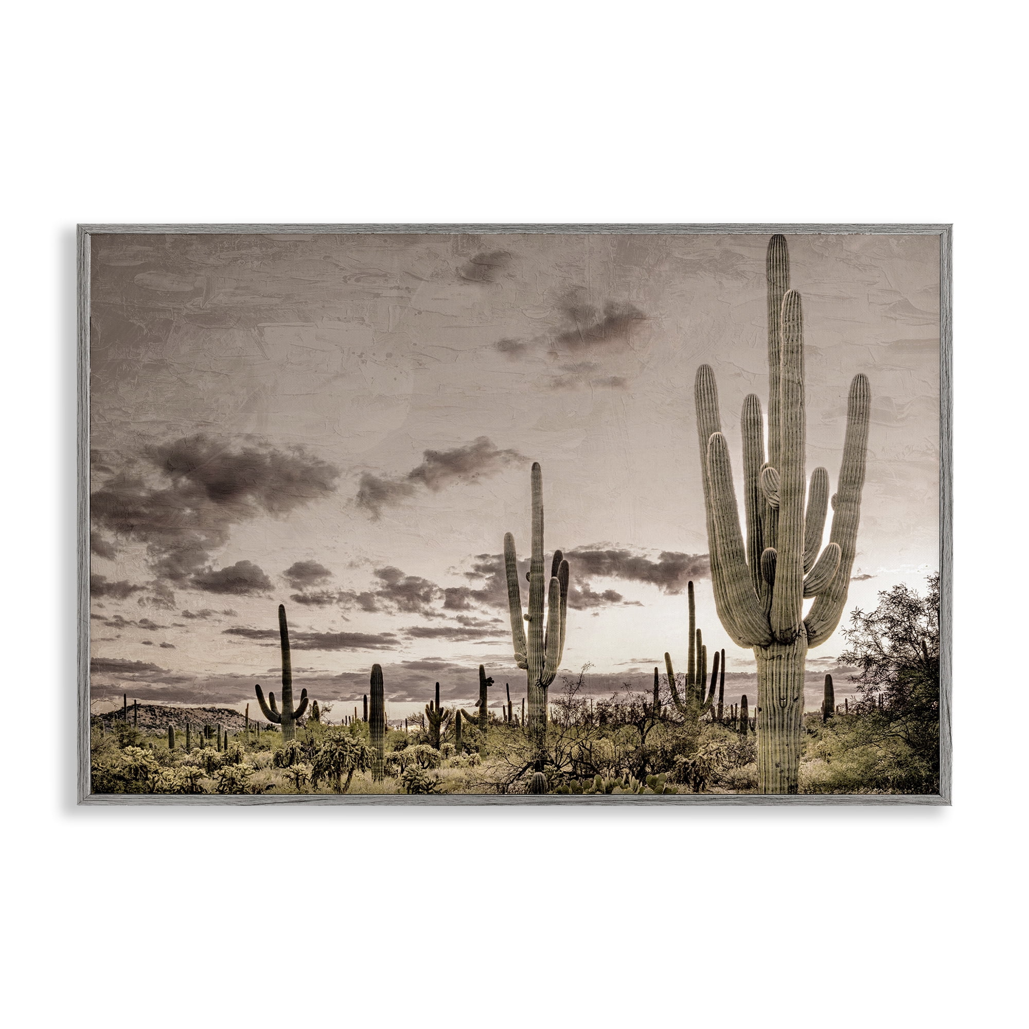 Stupell Industries Desert Sky Wilderness Gray Framed Giclee Art, design by Kim Allen