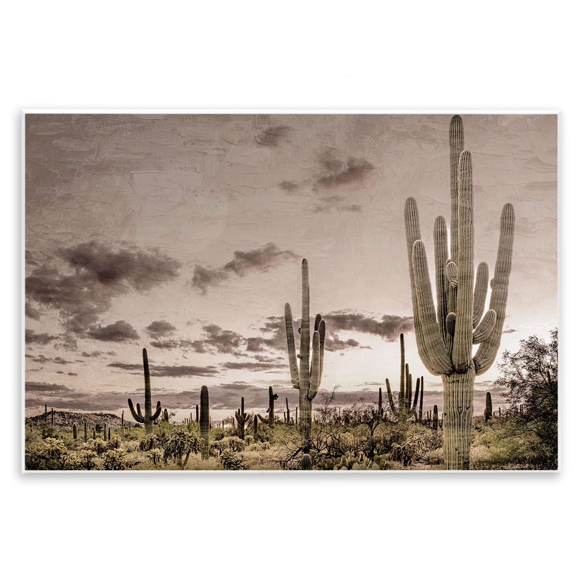 Stupell Industries Desert Sky Wilderness Wall Plaque Art, design by Kim Allen