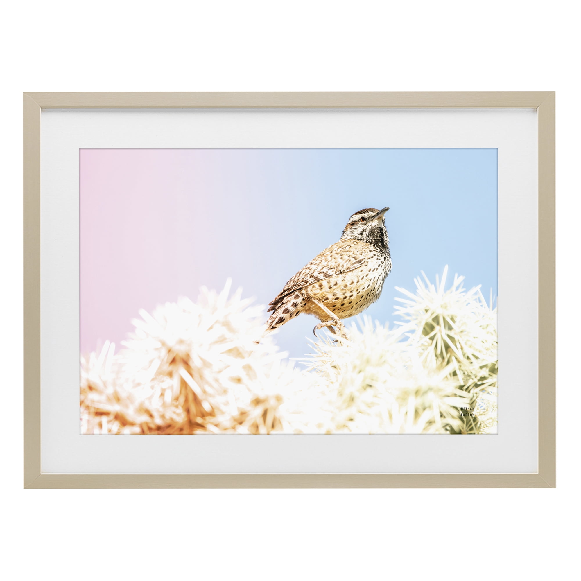 Stupell Industries Desert Song Bird Birch Framed Print Under Glass, design by Nathan Larson