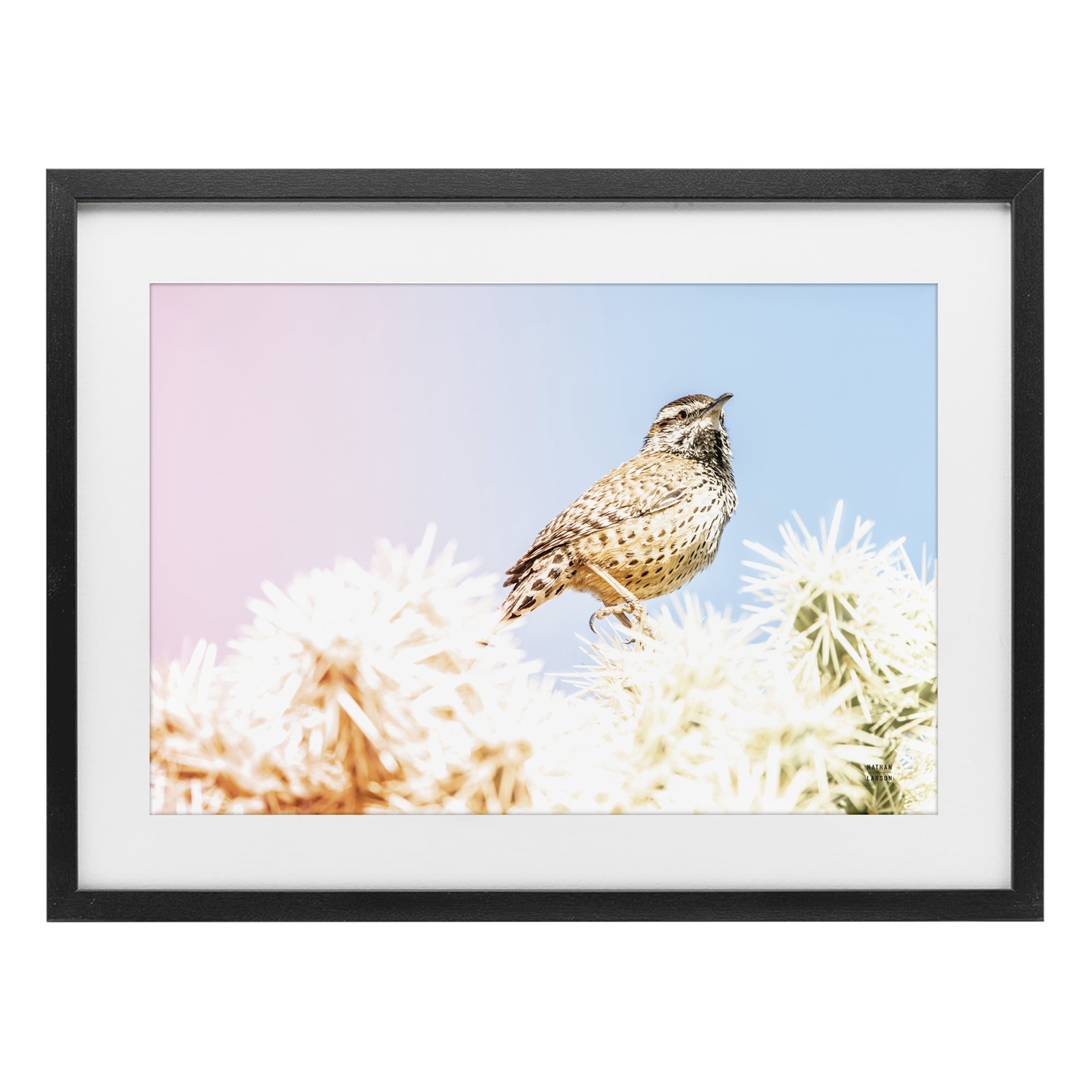 Stupell Industries Desert Song Bird Black Framed Print Under Glass, design by Nathan Larson