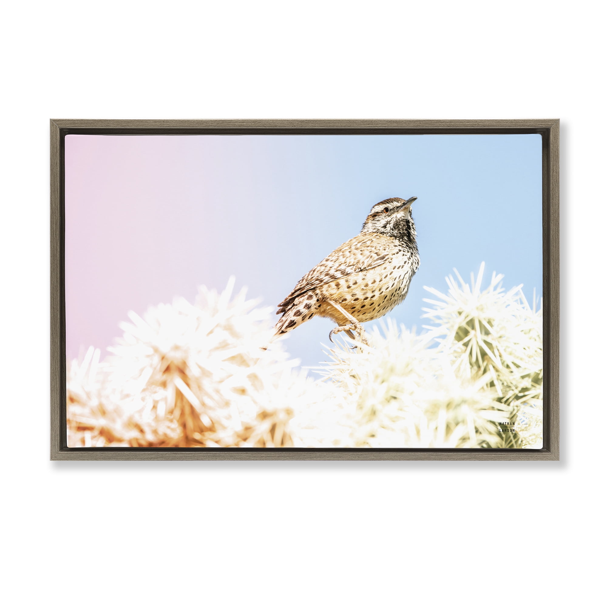 Stupell Industries Desert Song Bird Brown Framed Floater Canvas Wall Art, design by Nathan Larson