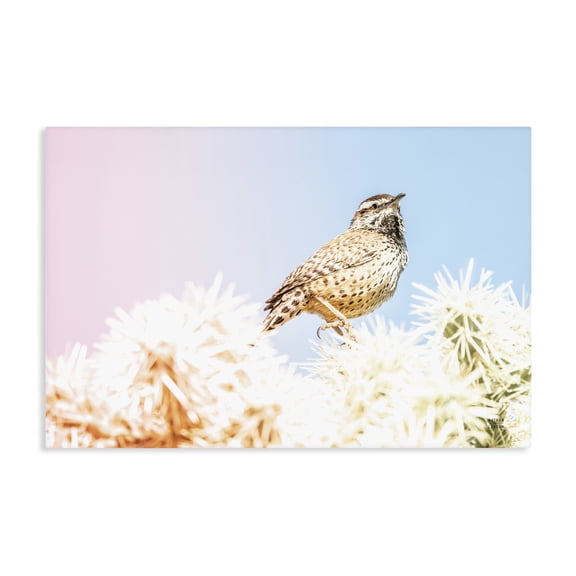 Stupell Industries Desert Song Bird Canvas Wall Art, design by Nathan Larson