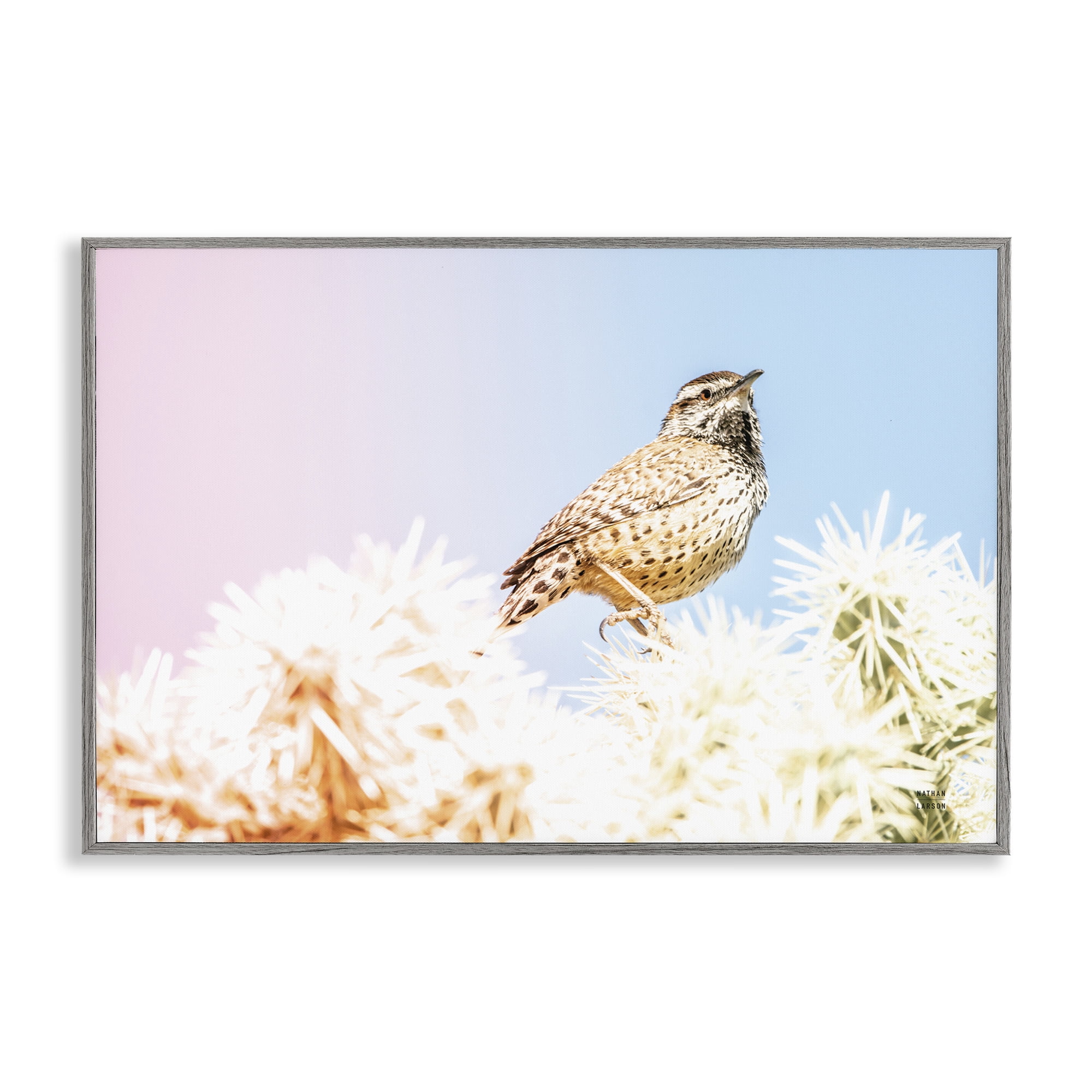 Stupell Industries Desert Song Bird Gray Framed Giclee Art, design by Nathan Larson