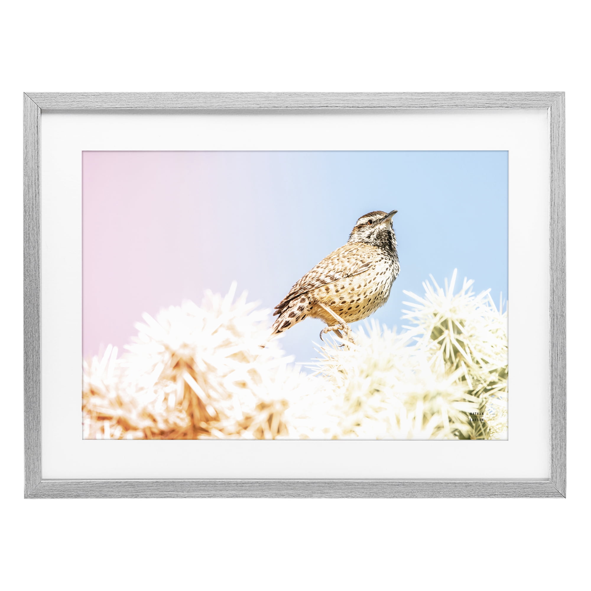 Stupell Industries Desert Song Bird Gray Framed Print Under Glass, design by Nathan Larson