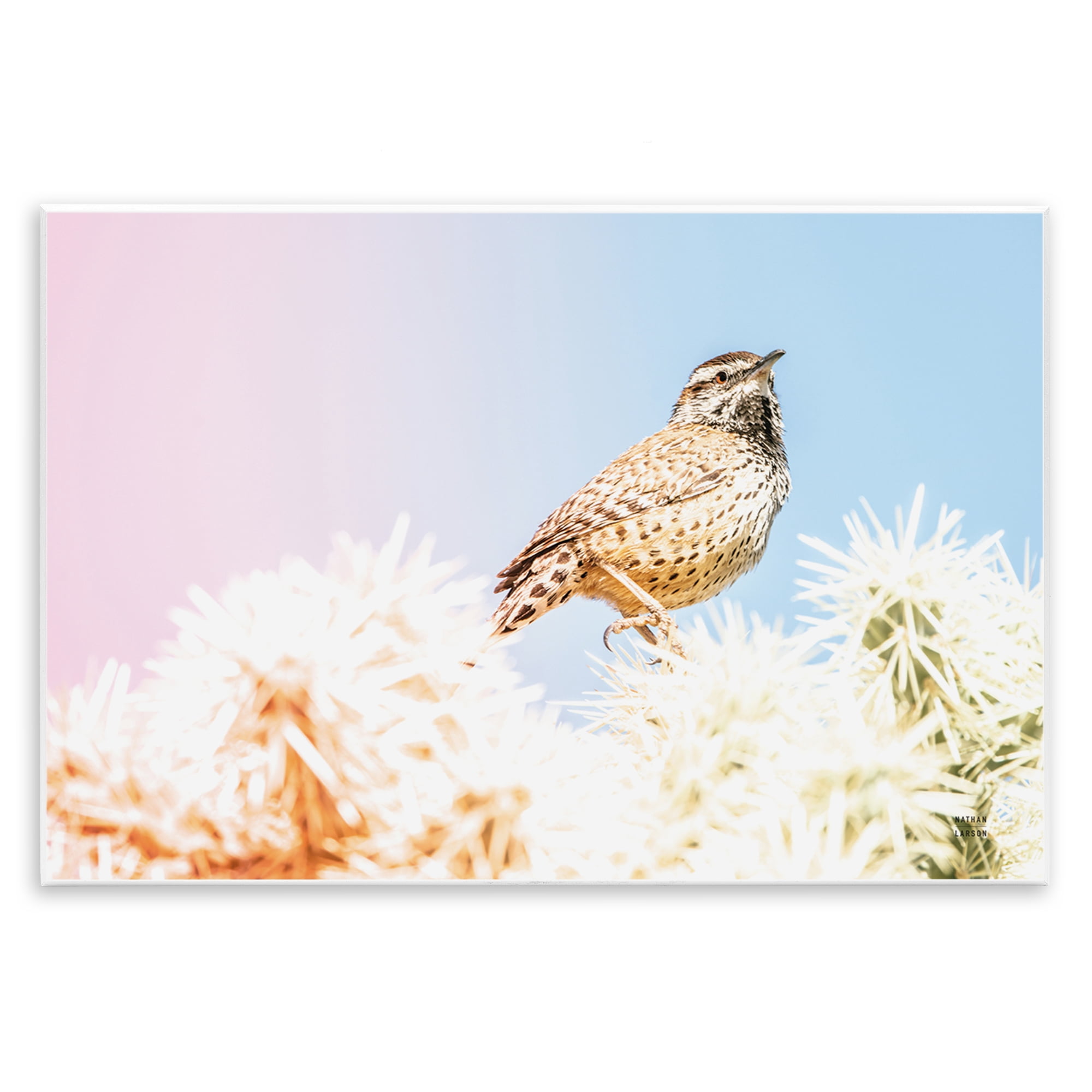Stupell Industries Desert Song Bird Wall Plaque Art, design by Nathan Larson