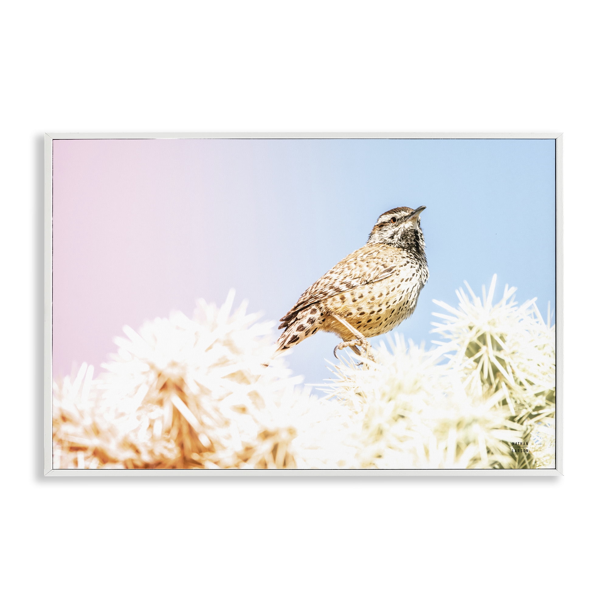 Stupell Industries Desert Song Bird White Framed Giclee Art, design by Nathan Larson