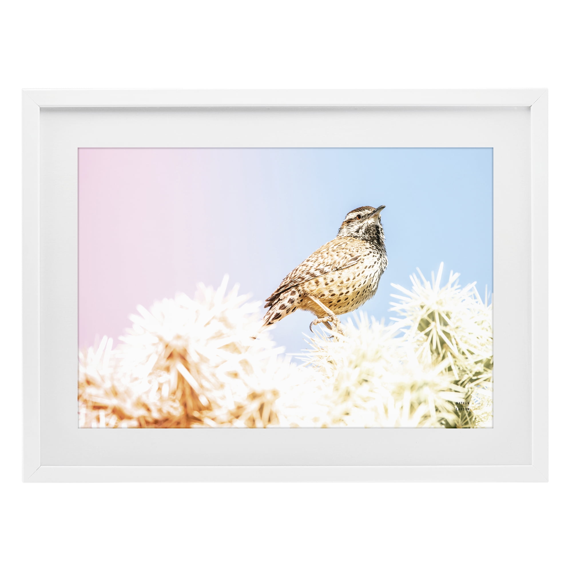 Stupell Industries Desert Song Bird White Framed Print Under Glass, design by Nathan Larson
