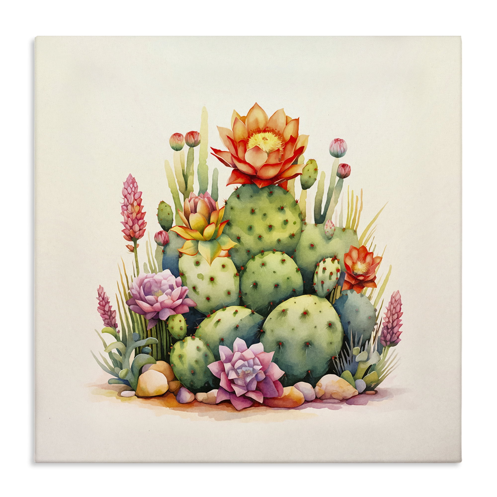 Stupell Industries Desert Spring Cacti Plants & Flowers Painting Wrapped Canvas Art Print Wall Art, 17 x 17