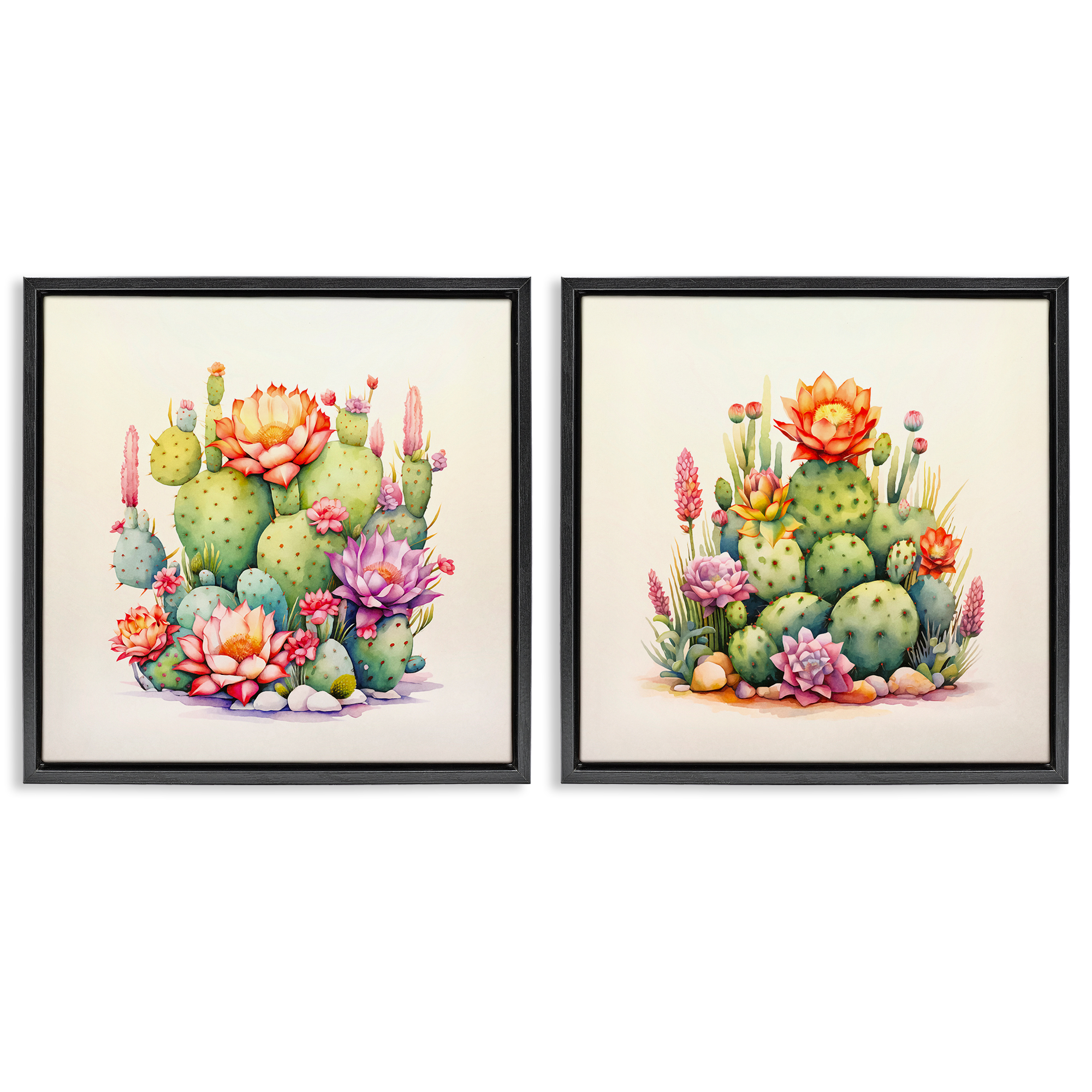 Stupell Industries Desert Spring Cactus Flowers Plants & Flowers Painting Black Floater Framed Canvas Art Print Wall Art, 18 x 18, Set of 2