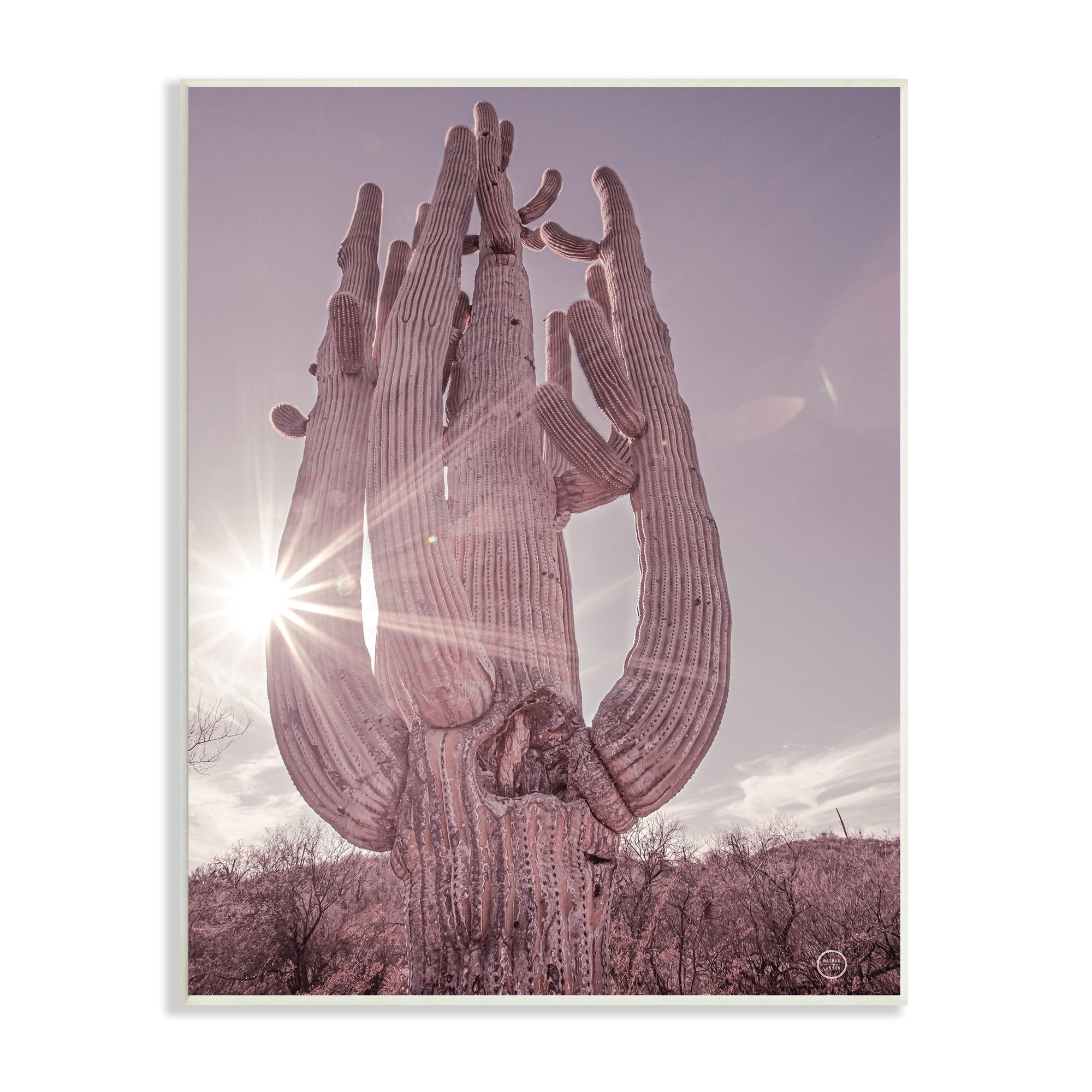 Stupell Industries Desert Sun Cactus Landscape Solar Flare Photography, 13 x 19, Design by Nathan Larson