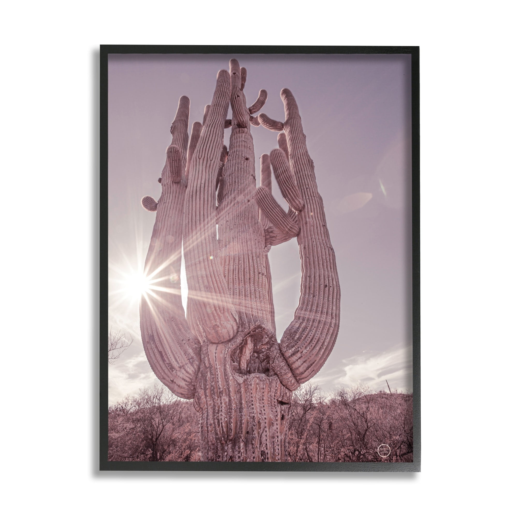 Stupell Industries Desert Sun Cactus Landscape Solar Flare Photography, 24 x 30, Design by Nathan Larson