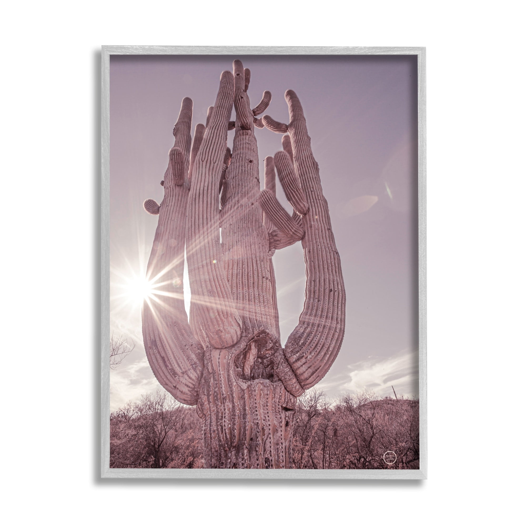 Stupell Industries Desert Sun Cactus Landscape Solar Flare Photography, 24 x 30, Design by Nathan Larson