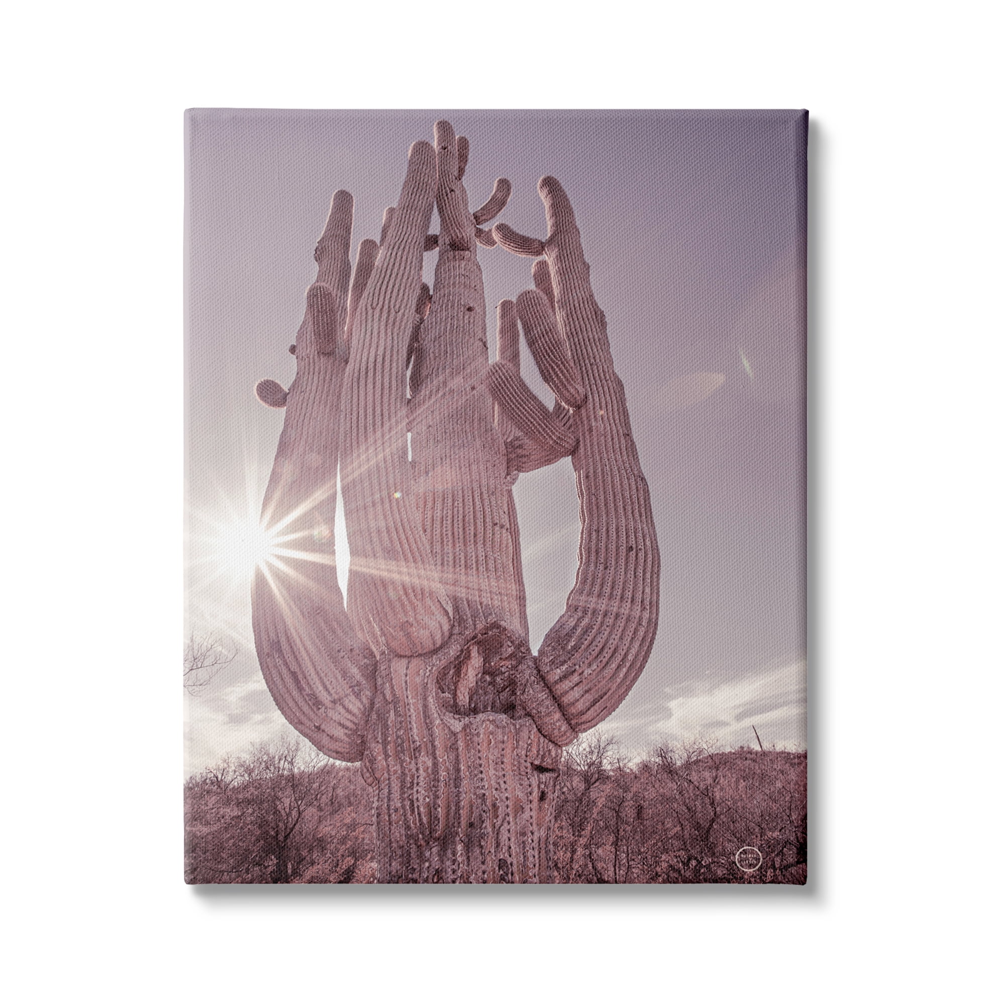 Stupell Industries Desert Sun Cactus Landscape Solar Flare Photography, 36 x 48, Design by Nathan Larson
