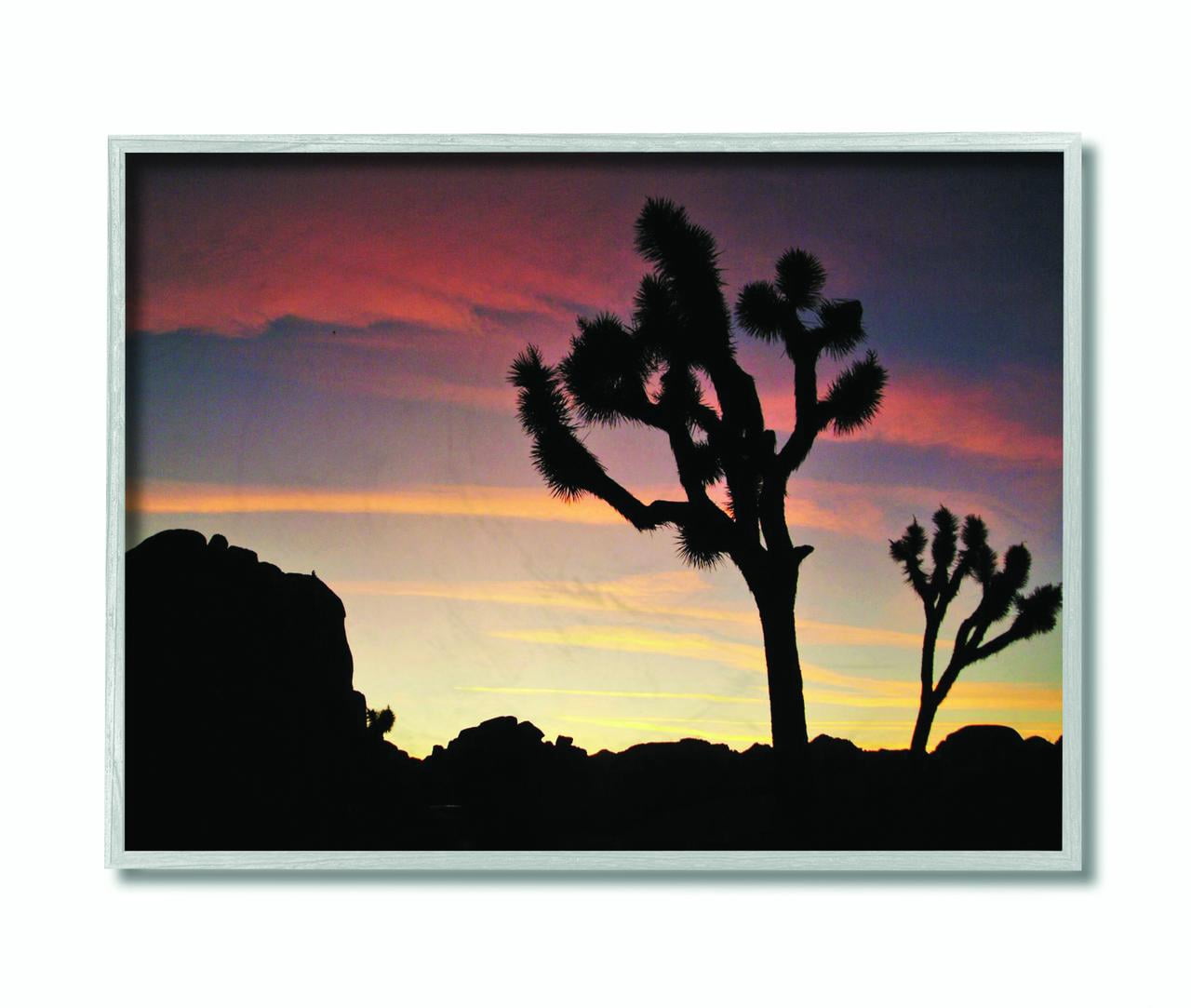 Stupell Industries Desert Tree Sunset Silhouette Photograph Framed Wall Art by Joseph Elliott