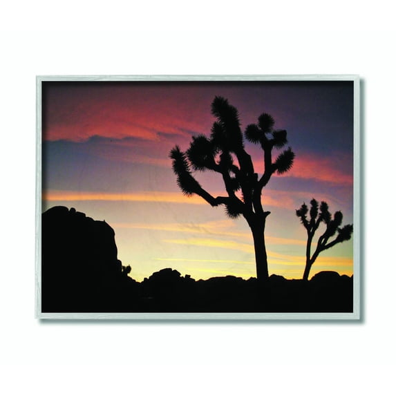 Stupell Industries Desert Tree Sunset Silhouette Photograph Framed Wall Art by Joseph Elliott