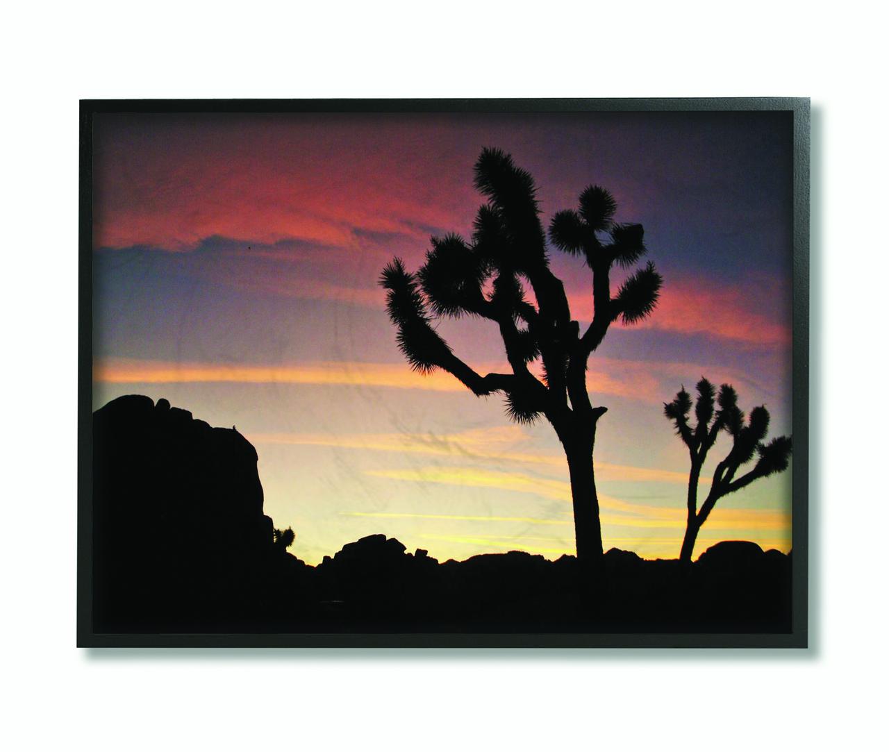 Stupell Industries Desert Tree Sunset Silhouette Photograph Framed Wall Art by Joseph Elliott