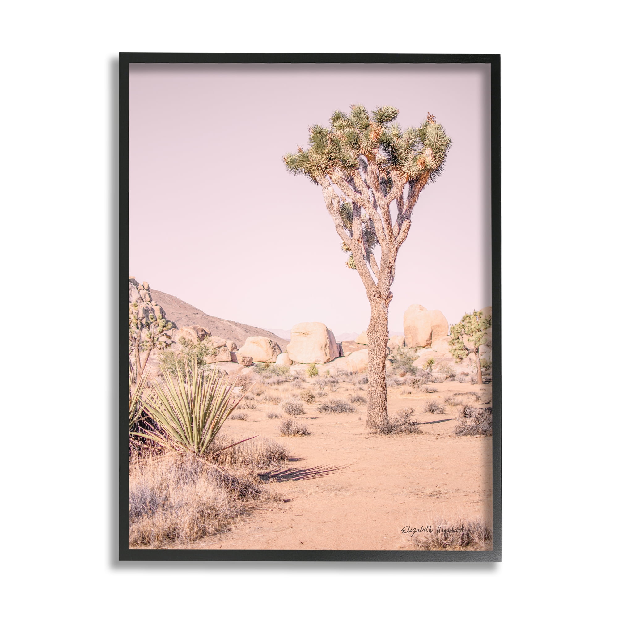Stupell Industries Desert Tree and Agave Plant Sun Bleach Sky Nature Photography Black Framed Art Print Wall Art, 16 x 20