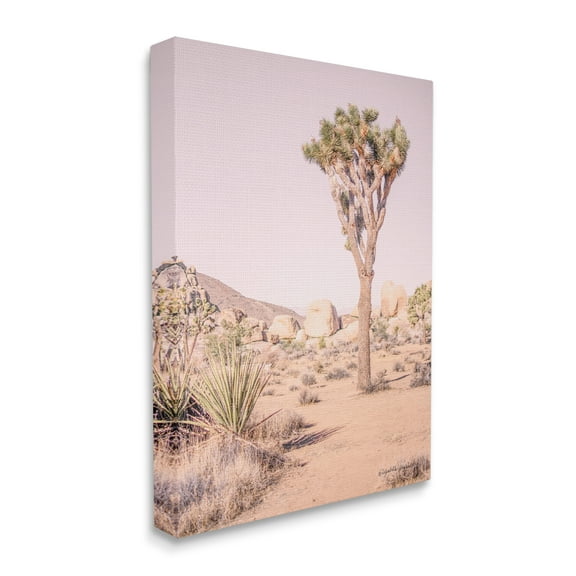Stupell Industries Desert Tree and Agave Plant Sun Bleach Sky Nature Photography Gallery Wrapped Canvas Print Wall Art, 16 x 20