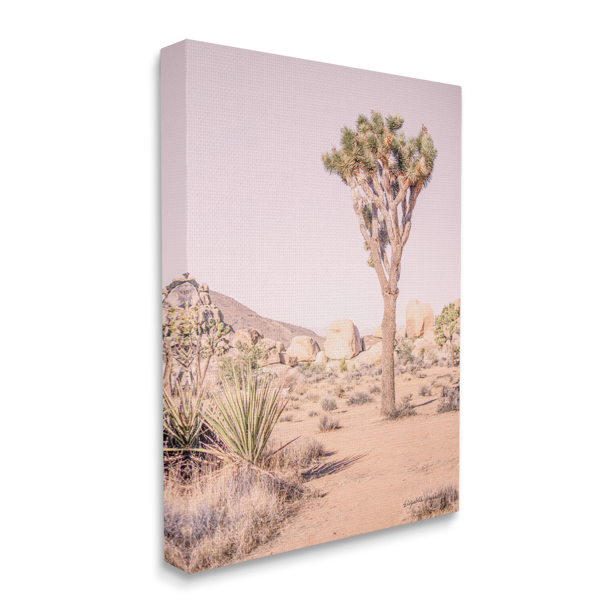 Stupell Industries Desert Tree and Agave Plant Sun Bleach Sky Nature Photography Gallery Wrapped Canvas Print Wall Art, 36 x 48