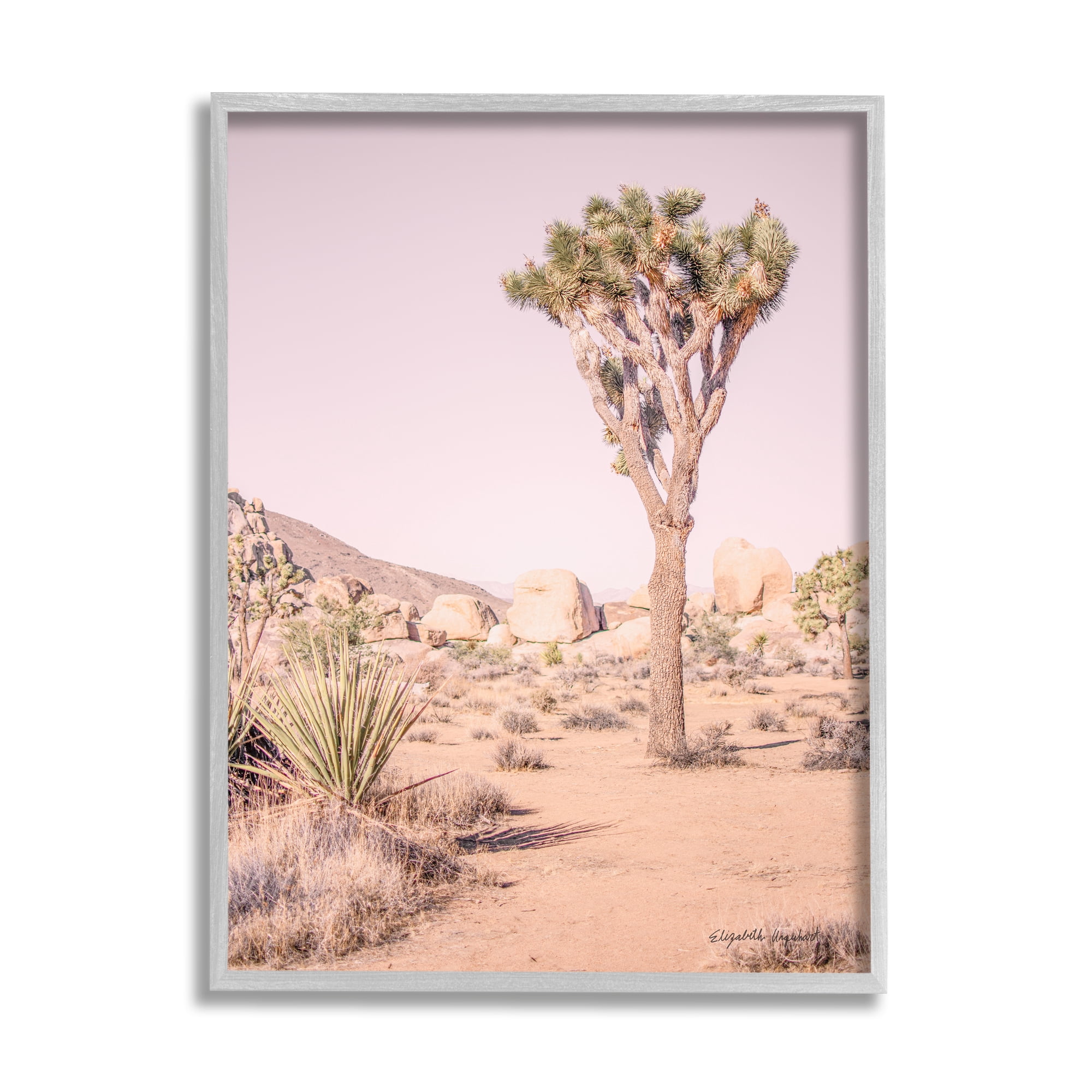 Stupell Industries Desert Tree and Agave Plant Sun Bleach Sky Nature Photography Gray Framed Art Print Wall Art, 24 x 30