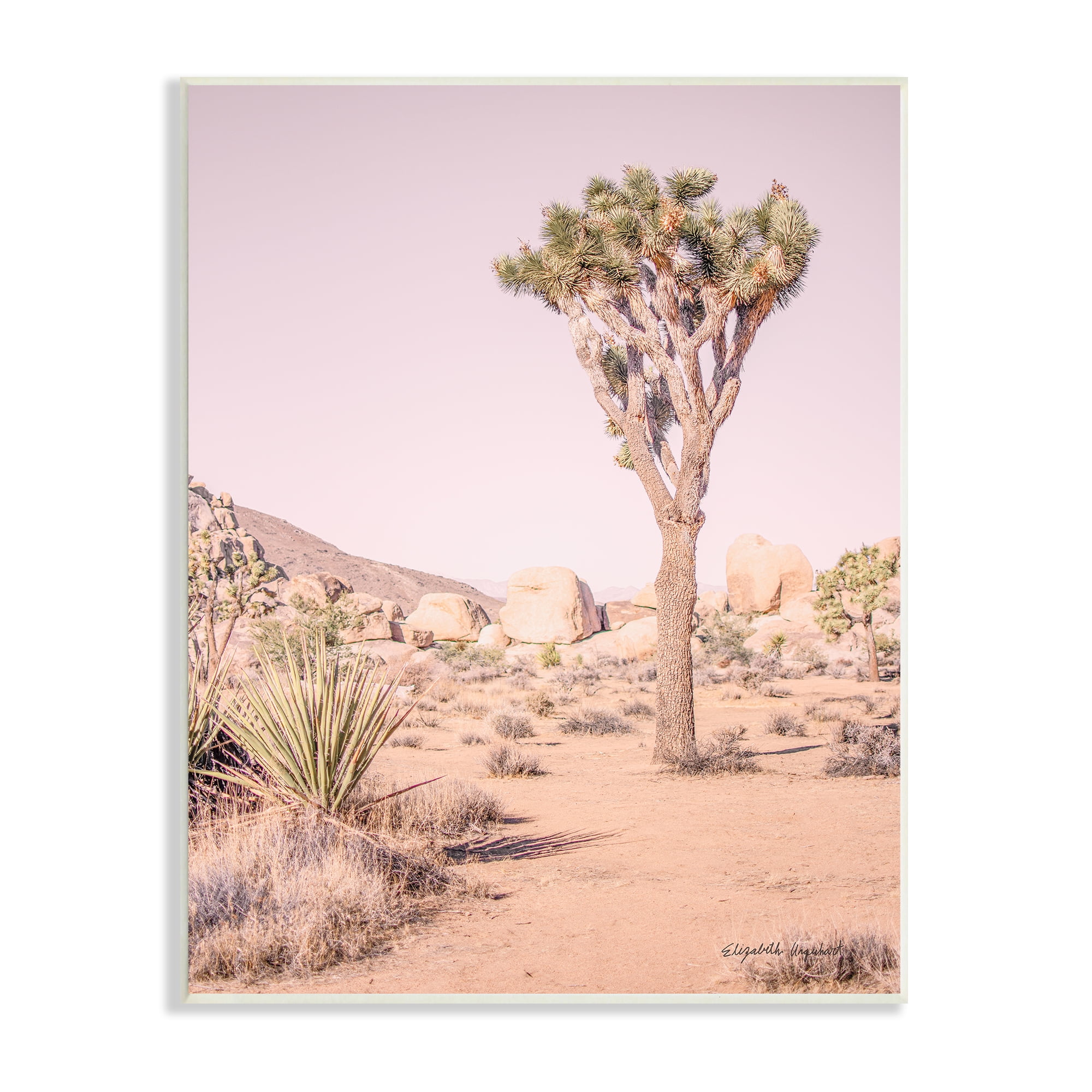 Stupell Industries Desert Tree and Agave Plant Sun Bleach Sky Nature Photography Unframed Art Print Wall Art, 13 x 19