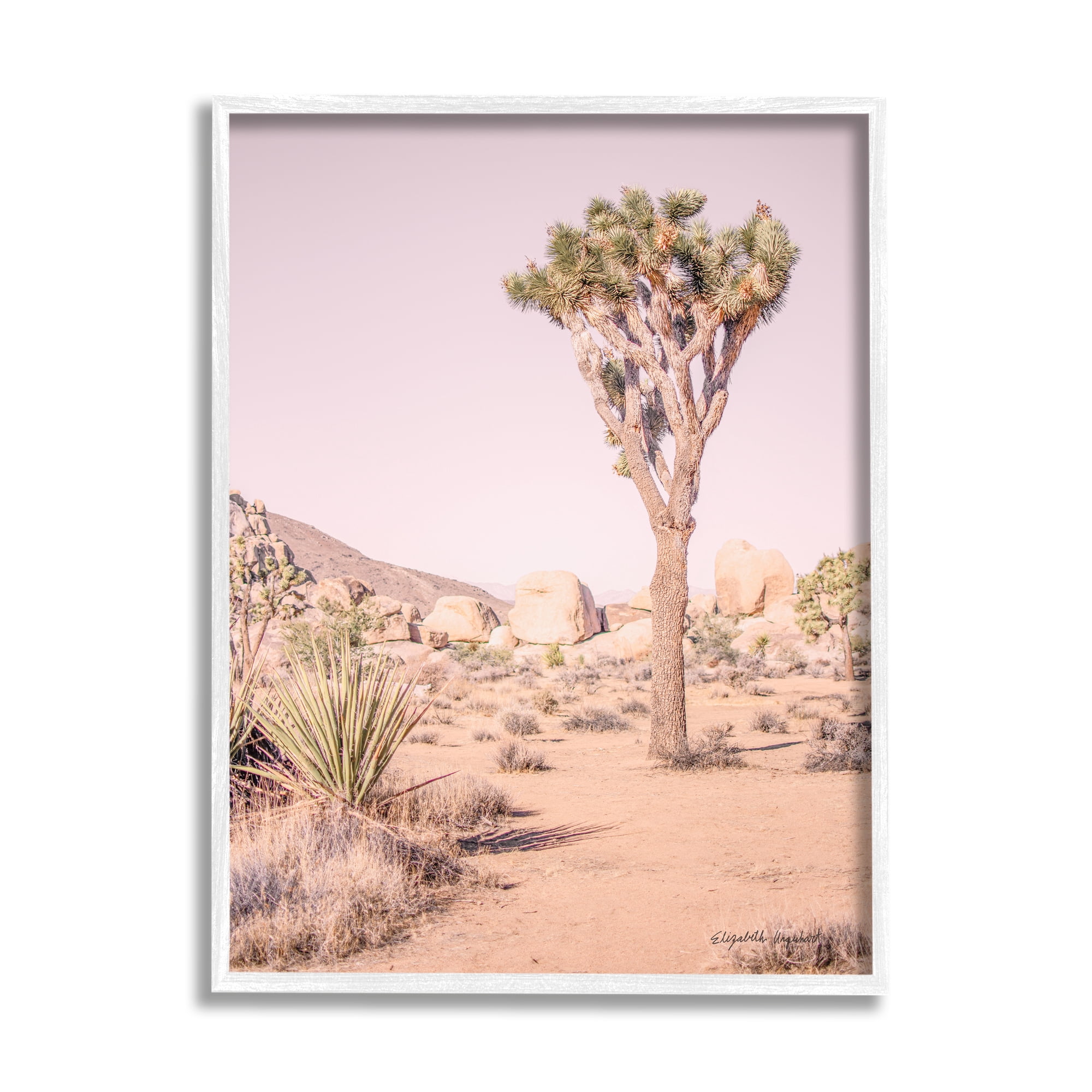 Stupell Industries Desert Tree and Agave Plant Sun Bleach Sky Nature Photography White Framed Art Print Wall Art, 11 x 14