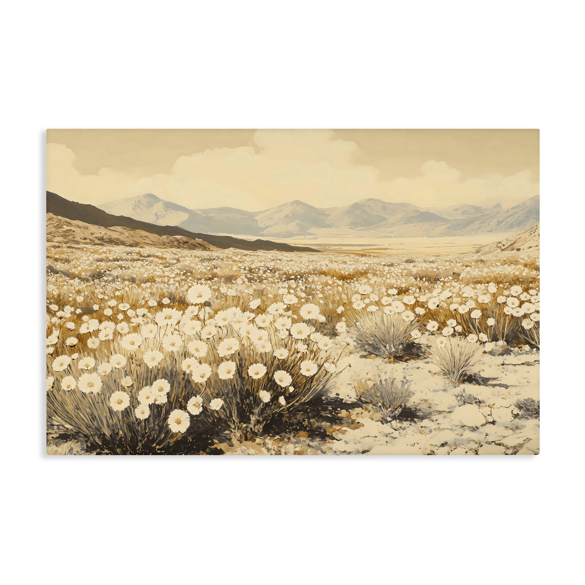 Stupell Industries Desert Wildflowers in Golden Valley Canvas Wall Art, design by Franklyn Gregory