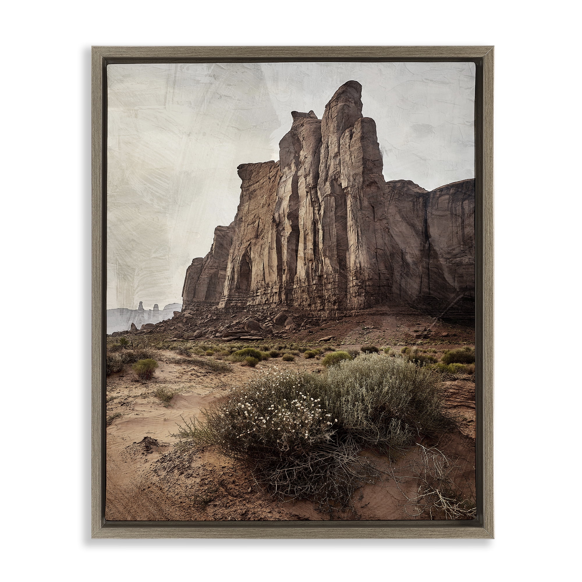 Stupell Industries Desolate Rock View Brown Framed Floater Canvas Wall Art, design by Kim Allen