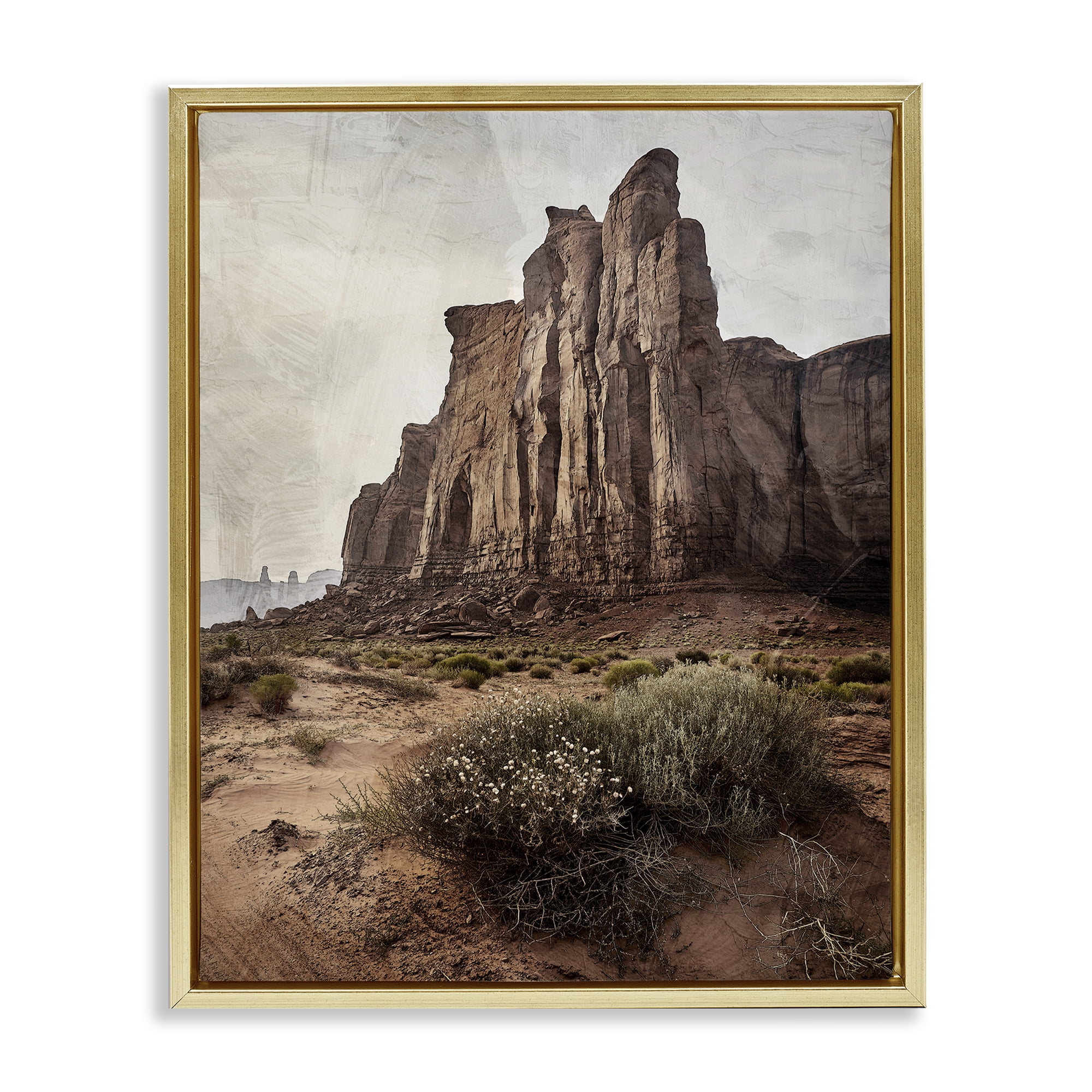 Stupell Industries Desolate Rock View Gold Framed Floater Canvas Wall Art, design by Kim Allen