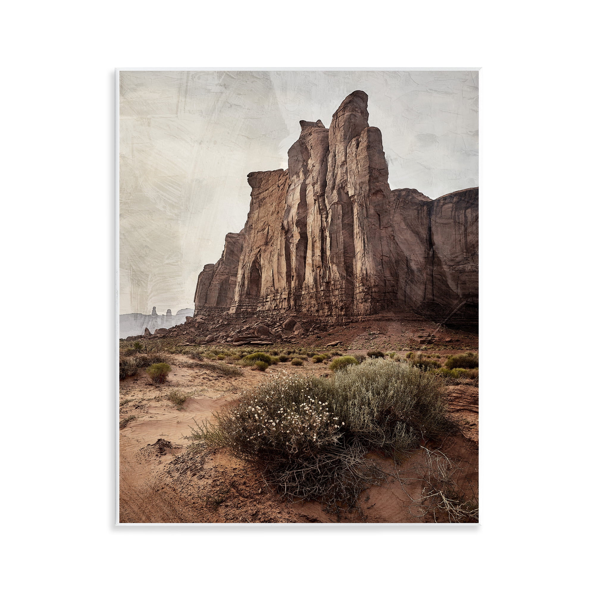 Stupell Industries Desolate Rock View Wall Plaque Art, design by Kim Allen