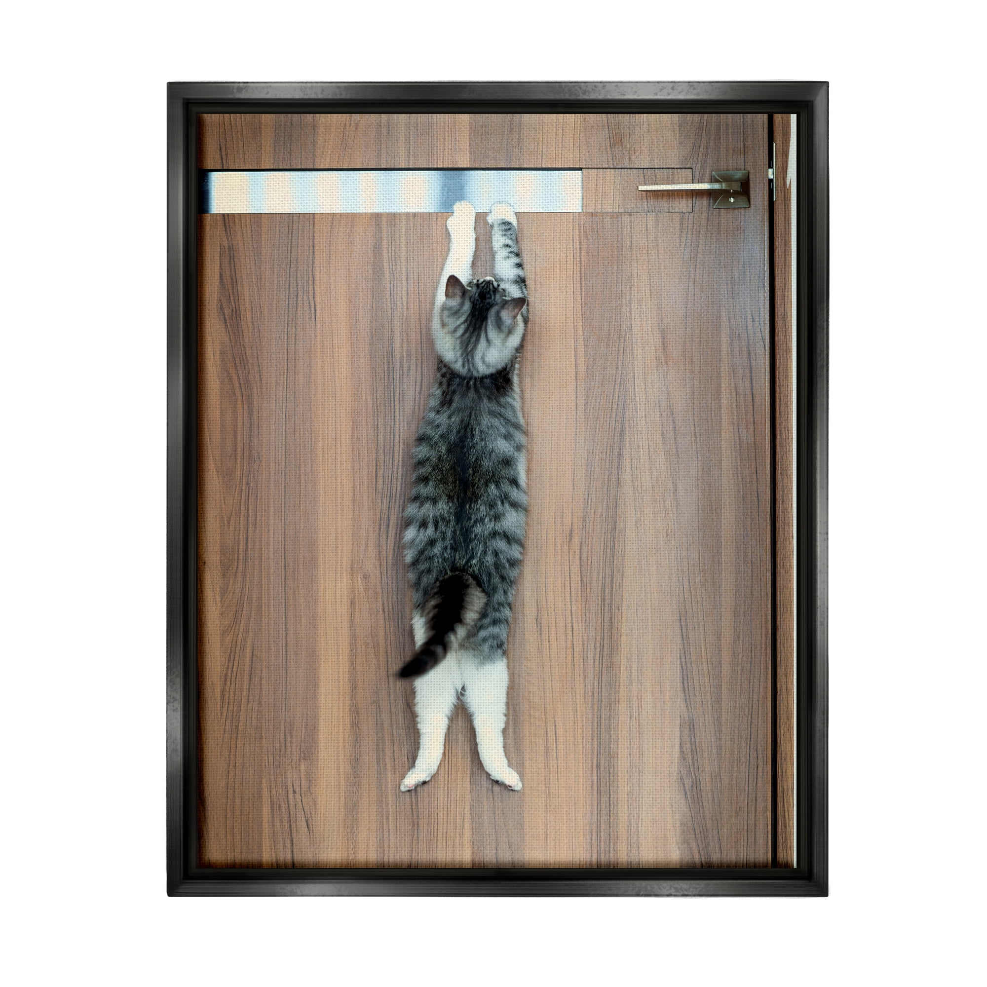 Stupell Industries Desperate Cat Escaping Animals & Insects Photography Black Floater Framed Canvas Art Print Wall Art, 25 x 31