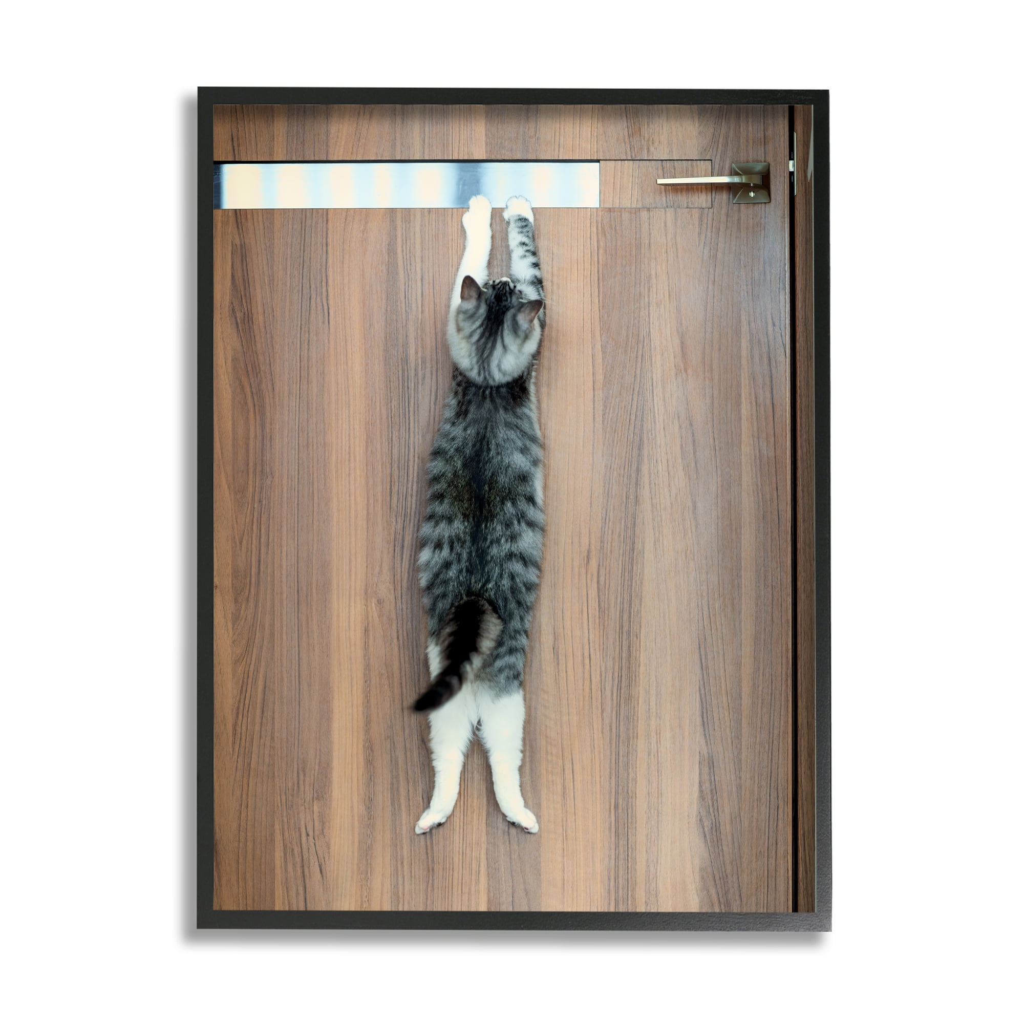 Stupell Industries Desperate Cat Escaping Animals & Insects Photography Black Framed Art Print Wall Art, 24 x 30