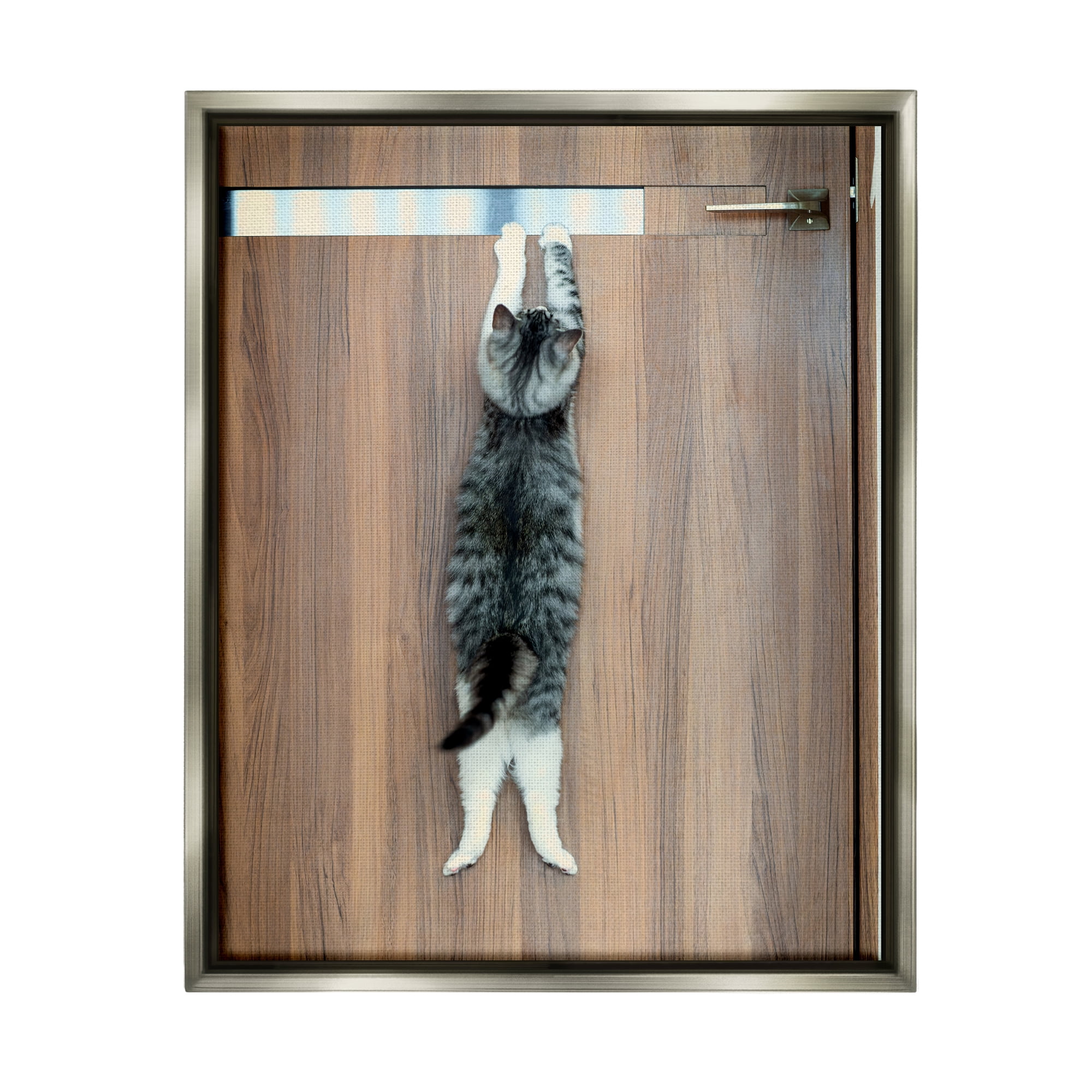 Stupell Industries Desperate Cat Escaping Animals & Insects Photography Gray Floater Framed Canvas Art Print Wall Art, 17 x 21