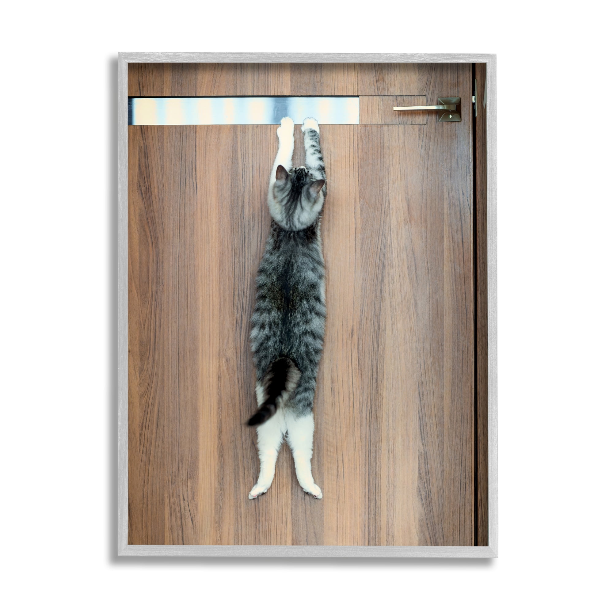 Stupell Industries Desperate Cat Escaping Animals & Insects Photography Gray Framed Art Print Wall Art, 24 x 30