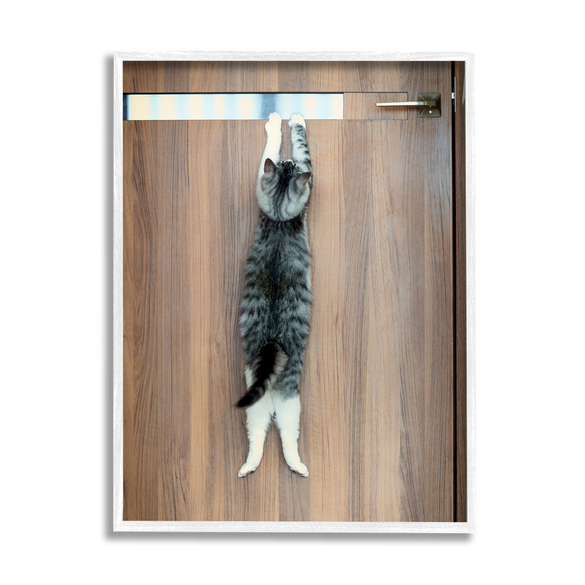Stupell Industries Desperate Cat Escaping Animals & Insects Photography White Framed Art Print Wall Art, 11 x 14