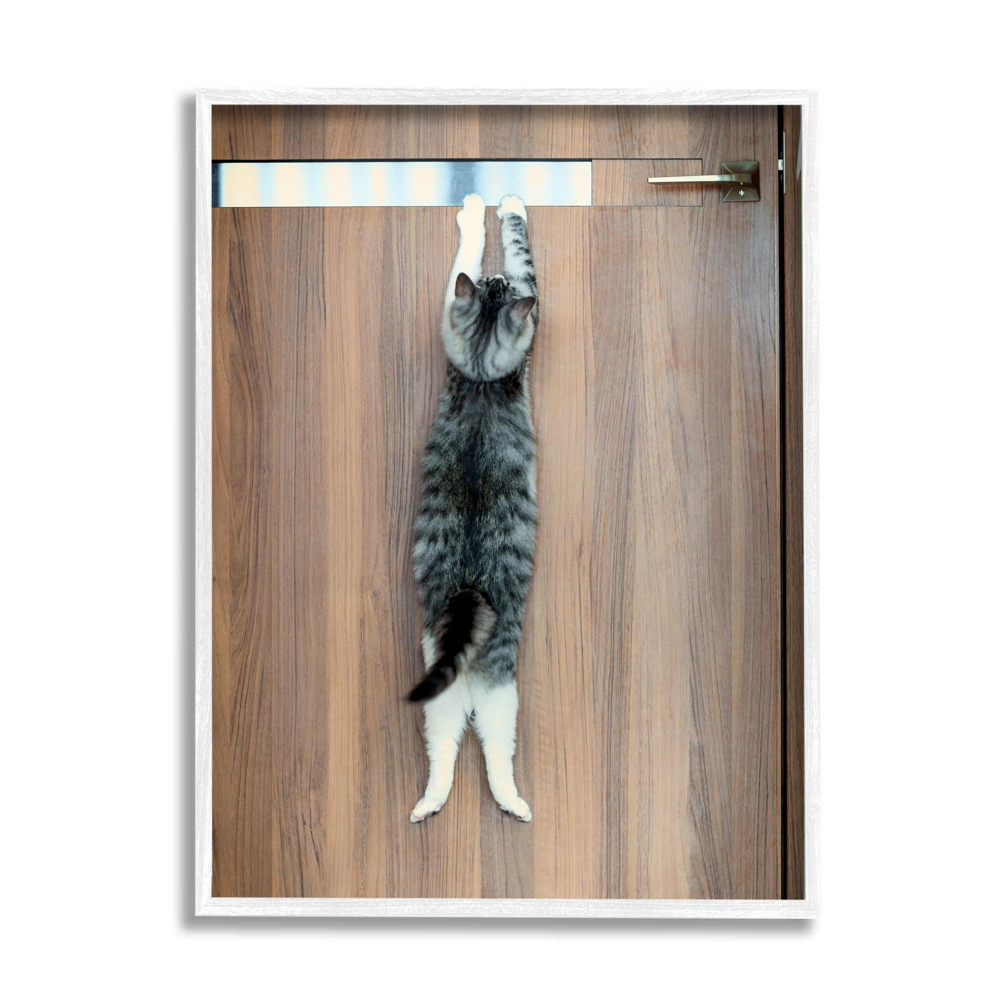Stupell Industries Desperate Cat Escaping Animals & Insects Photography White Framed Art Print Wall Art, 16 x 20