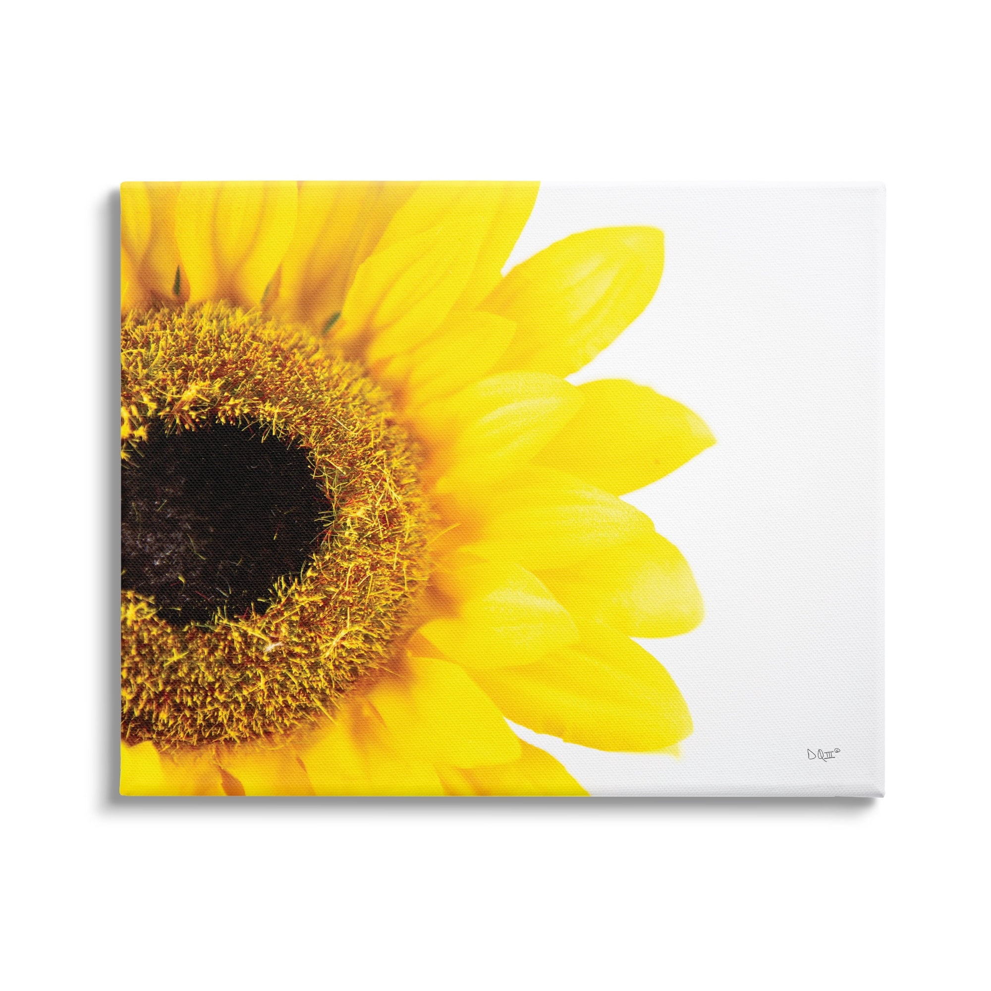 Stupell Industries Detail of Sunflower Disk And Petals Photograph,20 x 16, Design by Donnie Quillen