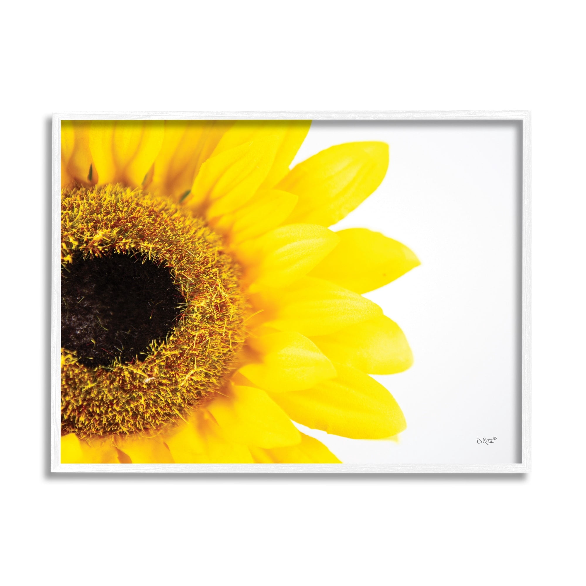 Stupell Industries Detail of Sunflower Disk And Petals Photograph,20 x 16, Design by Donnie Quillen